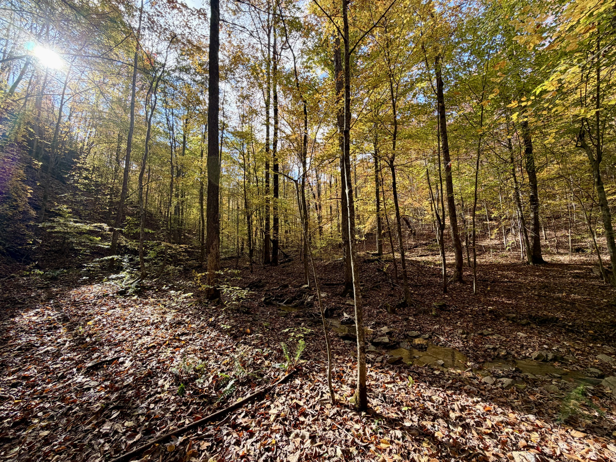 1 Robbins Road, E Robbins TN 37852