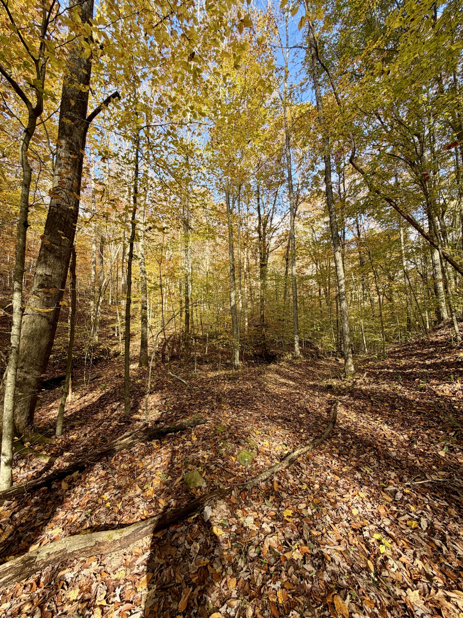 1 Robbins Road, E Robbins TN 37852