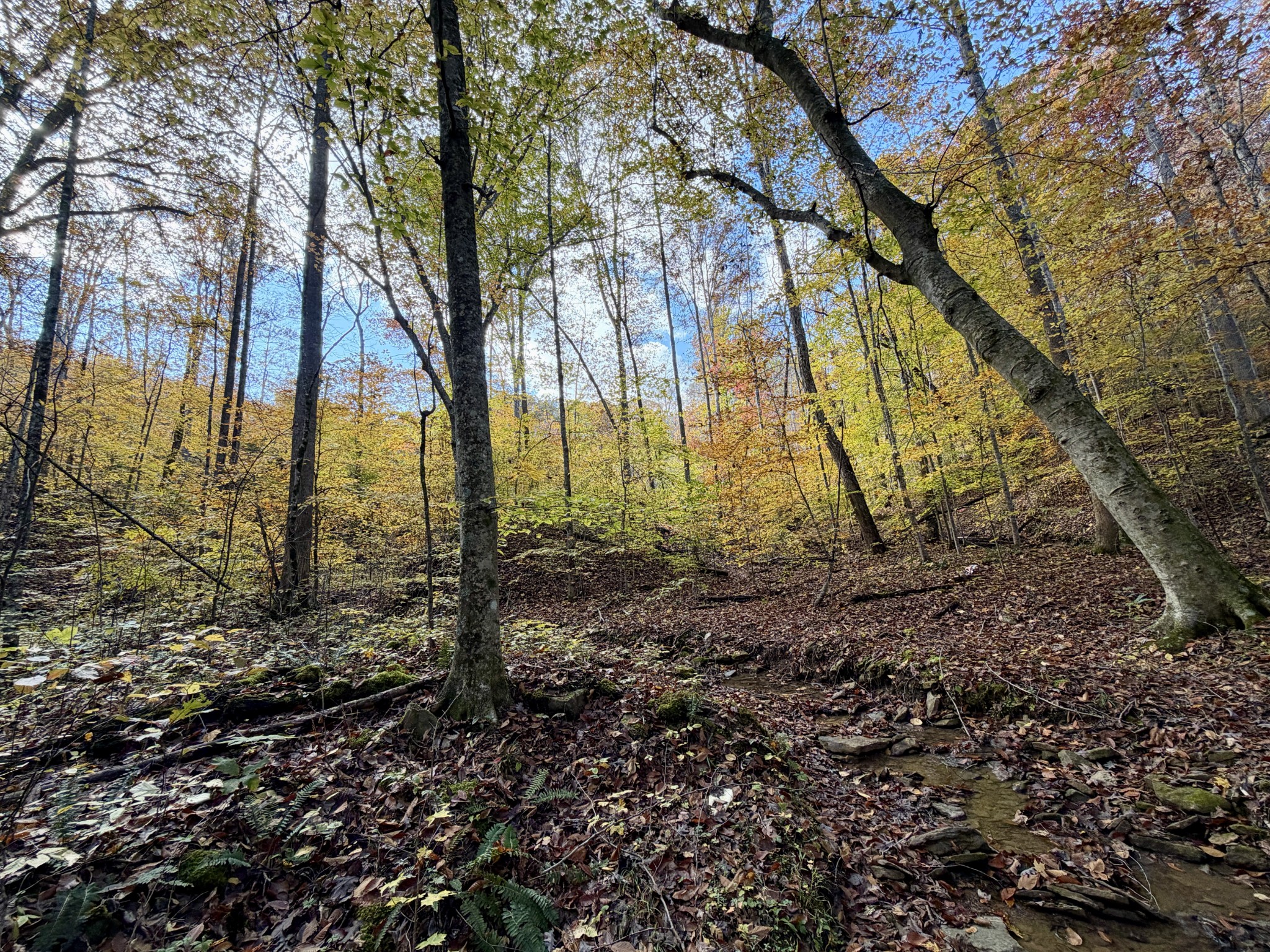 1 Robbins Road, E Robbins TN 37852