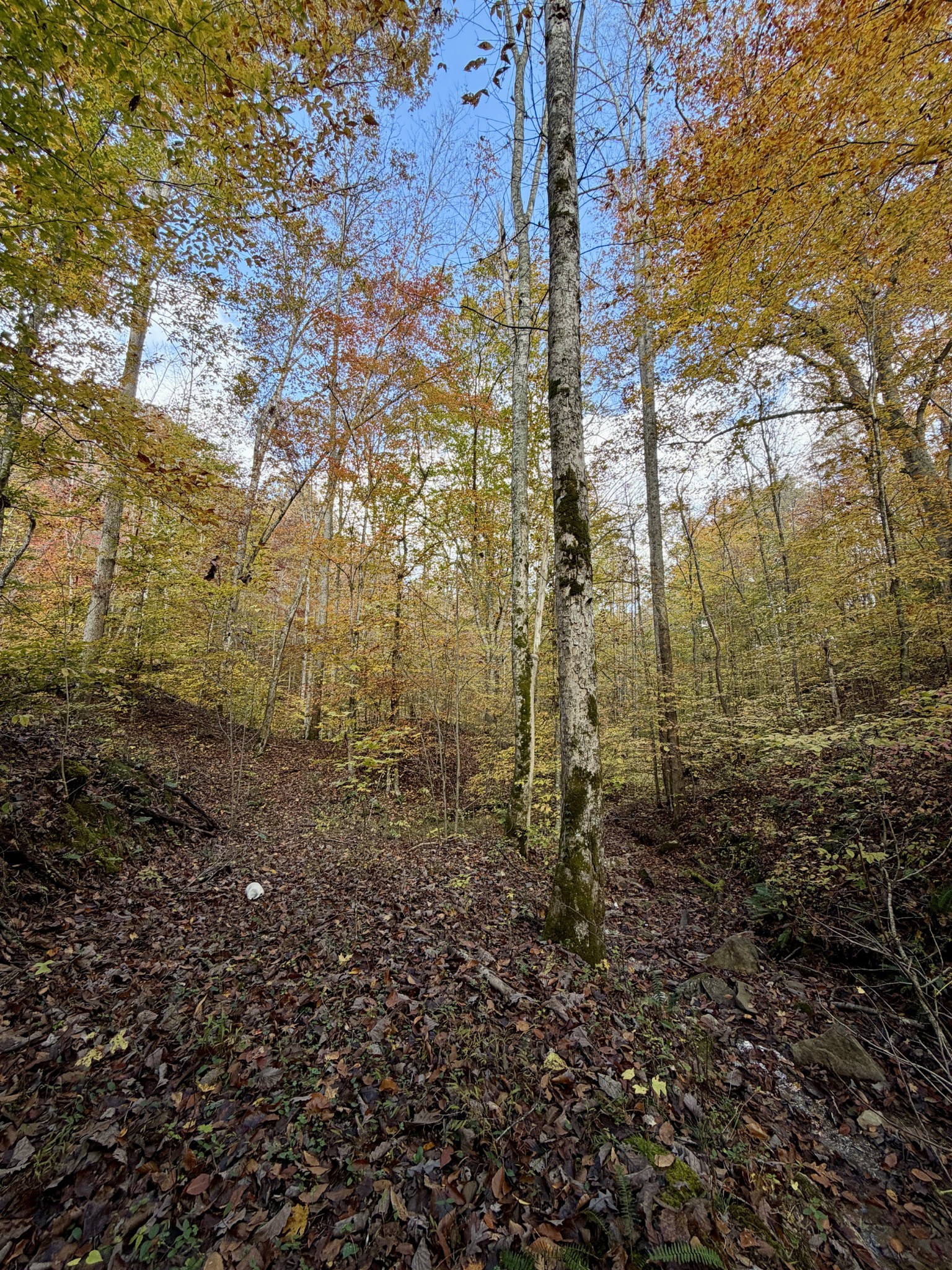 1 Robbins Road, E Robbins TN 37852