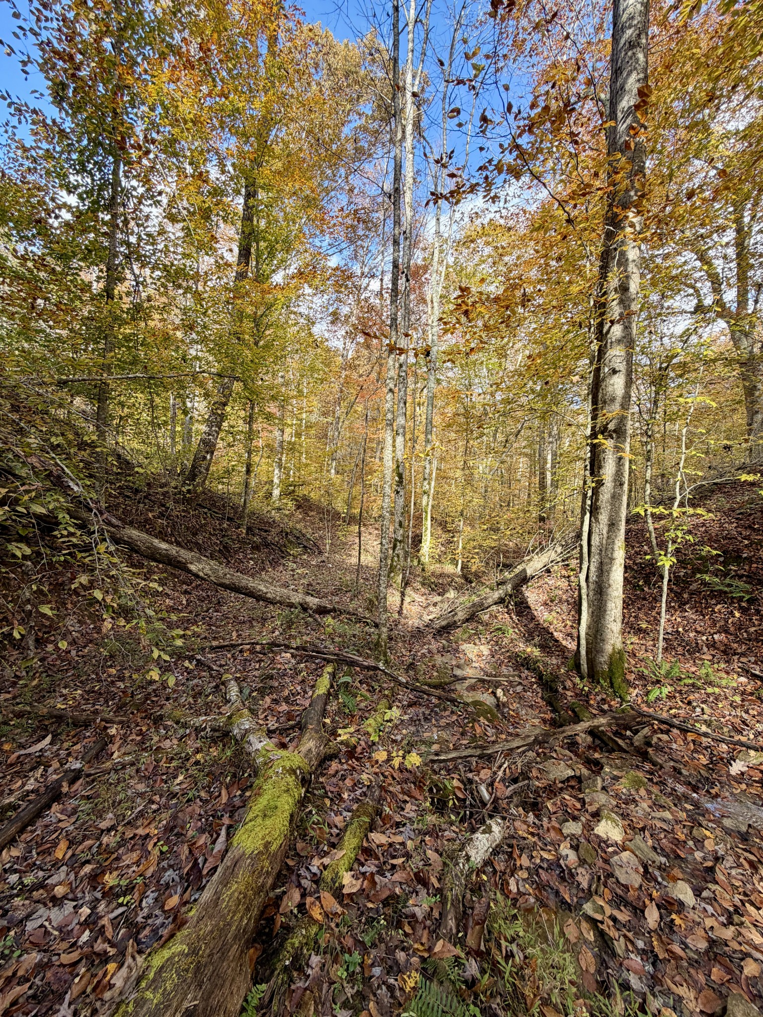 1 Robbins Road, E Robbins TN 37852