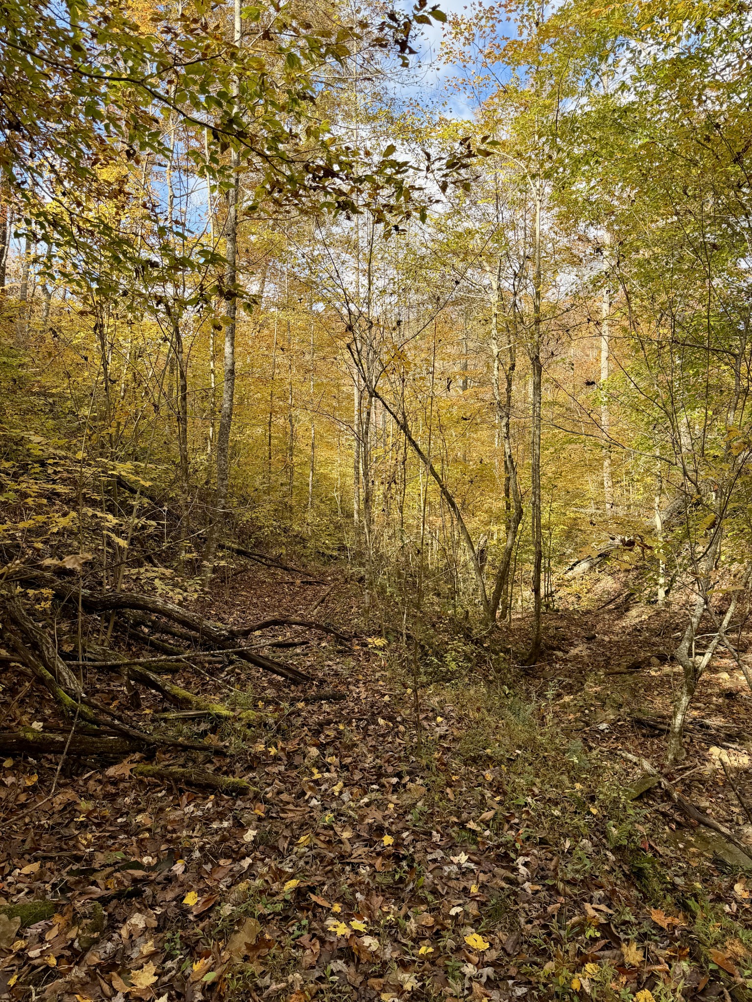 1 Robbins Road, E Robbins TN 37852