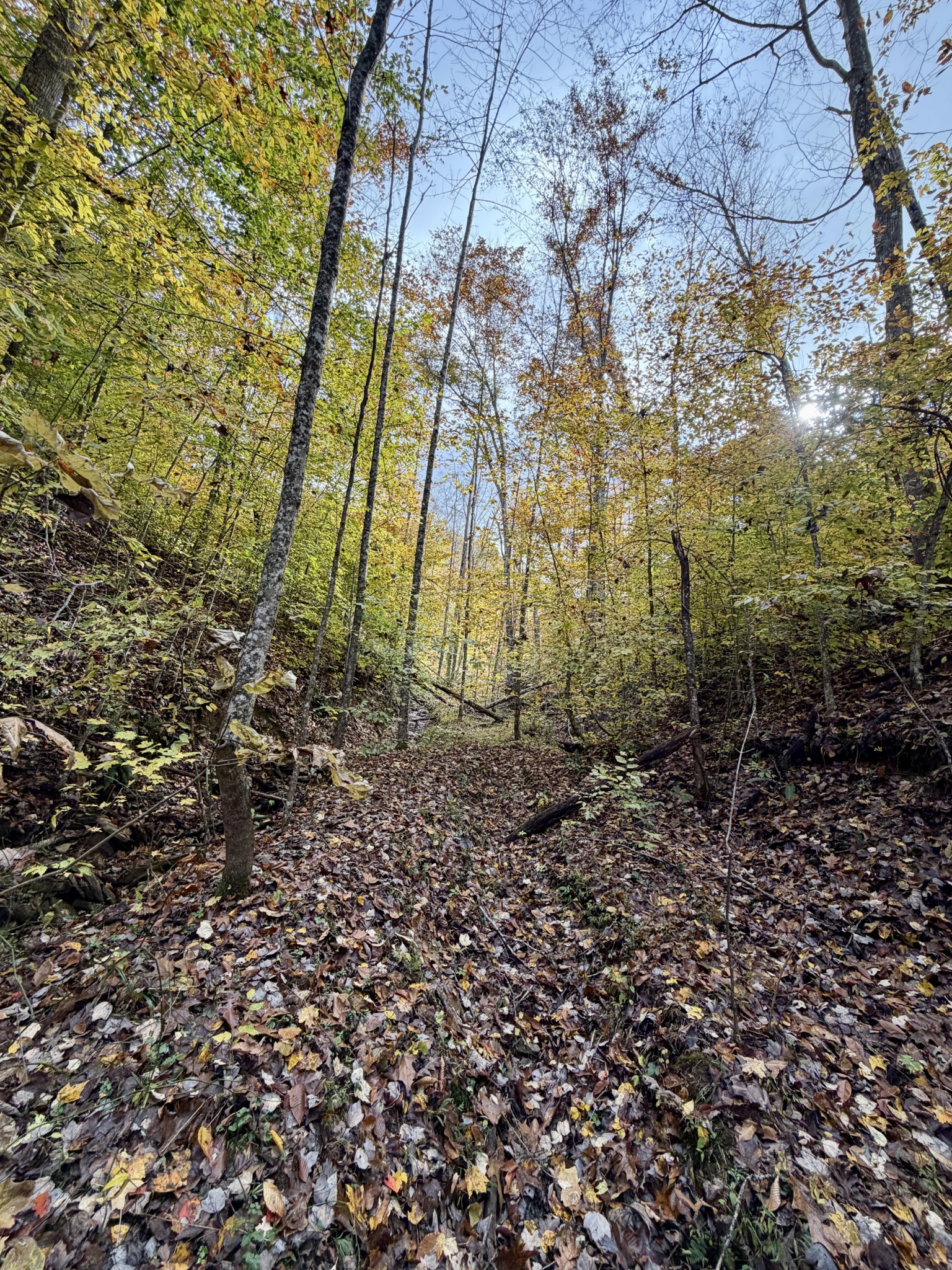 1 Robbins Road, E Robbins TN 37852