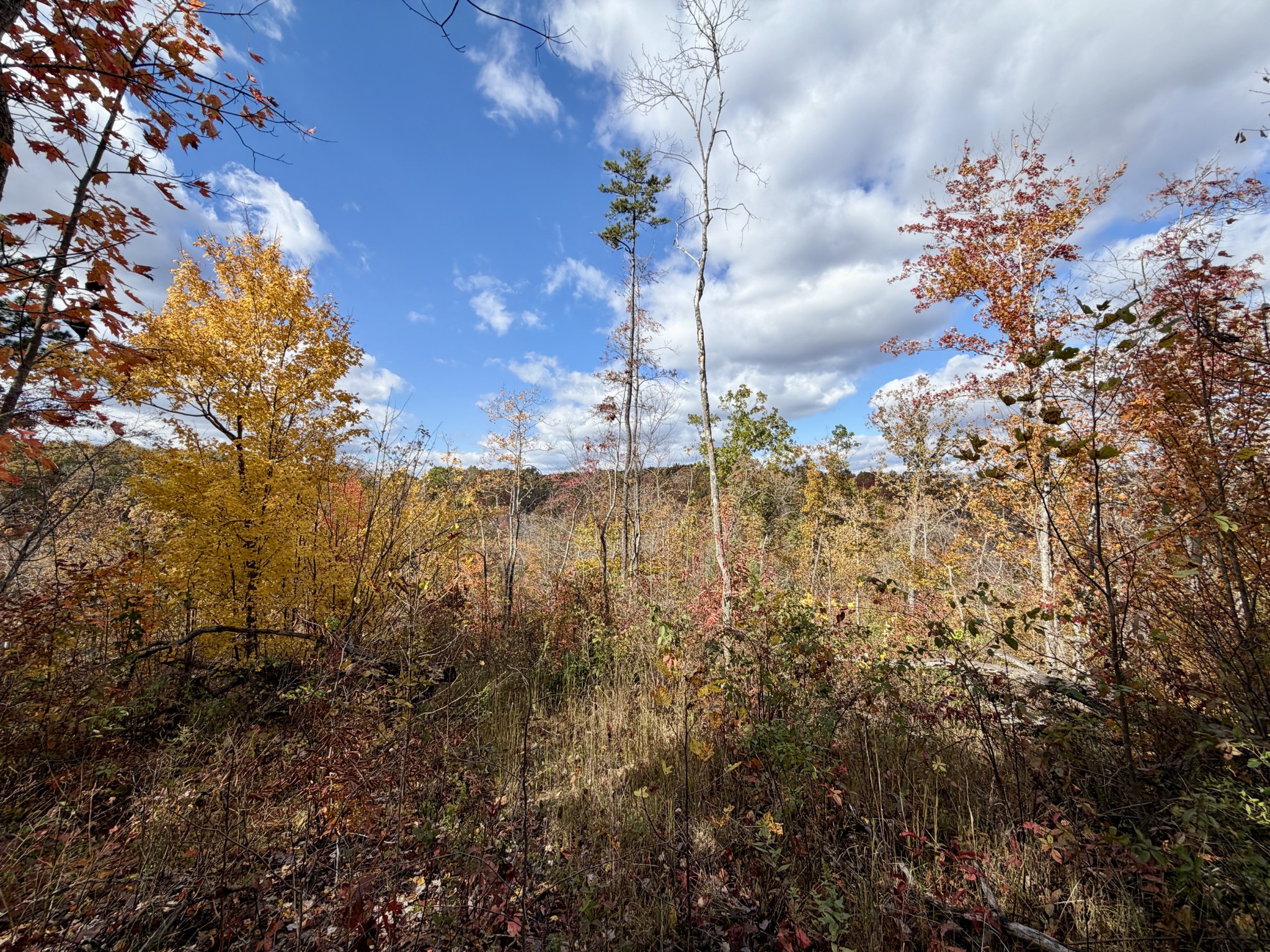 1 Robbins Road, E Robbins TN 37852