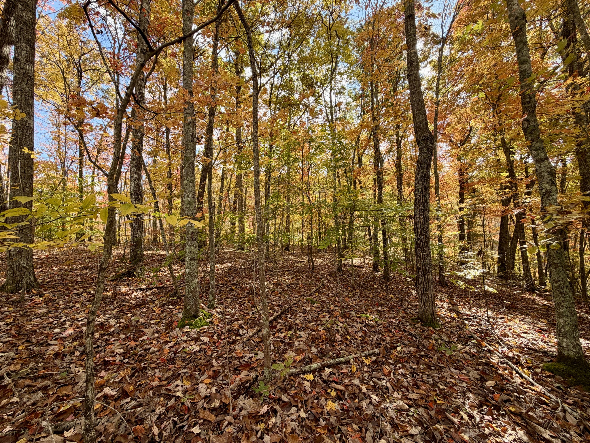 1 Robbins Road, E Robbins TN 37852