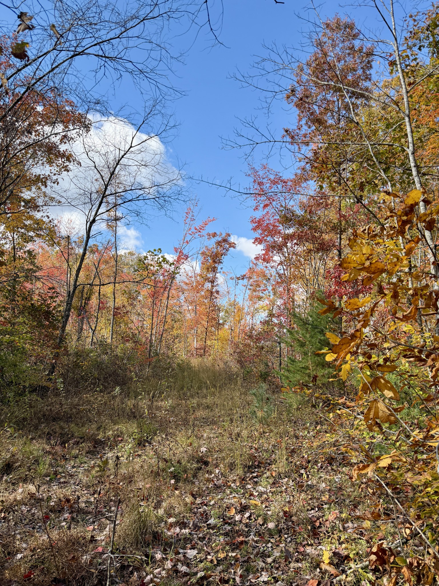 1 Robbins Road, E Robbins TN 37852