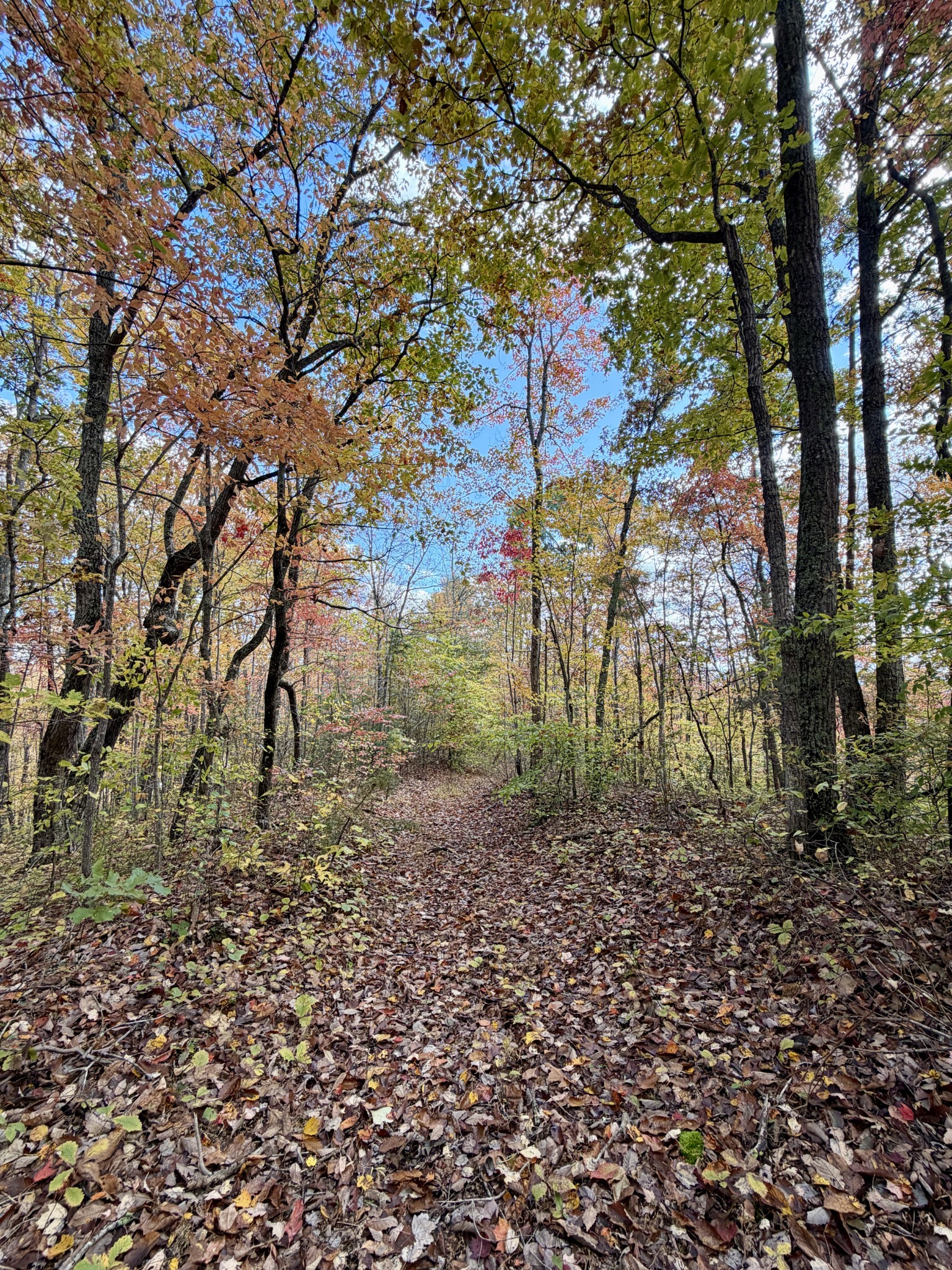 1 Robbins Road, E Robbins TN 37852