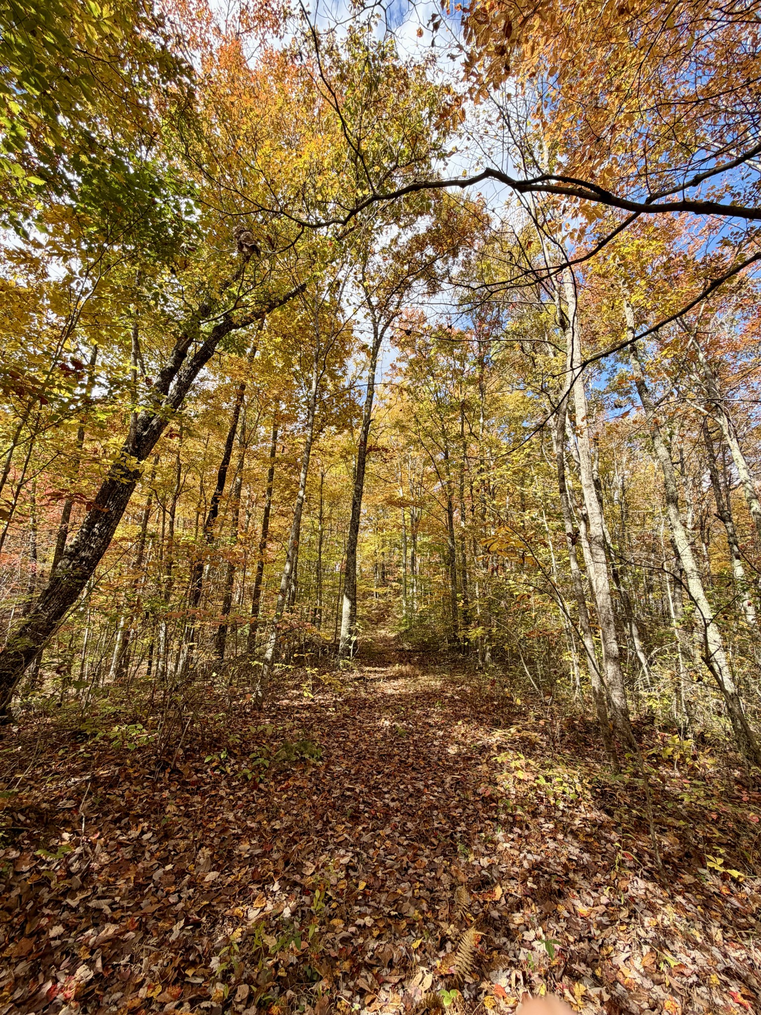 1 Robbins Road, E Robbins TN 37852