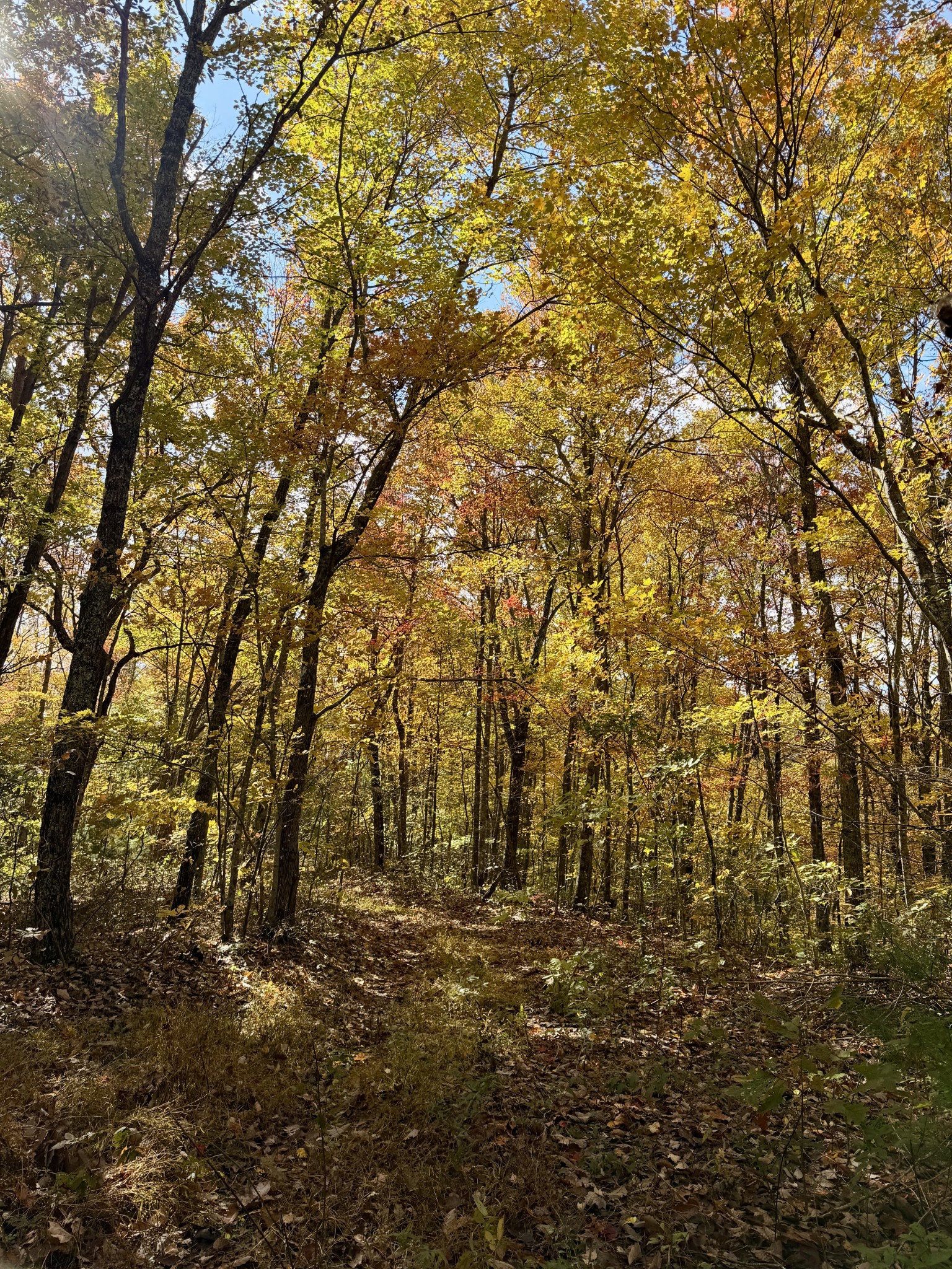 1 Robbins Road, E Robbins TN 37852