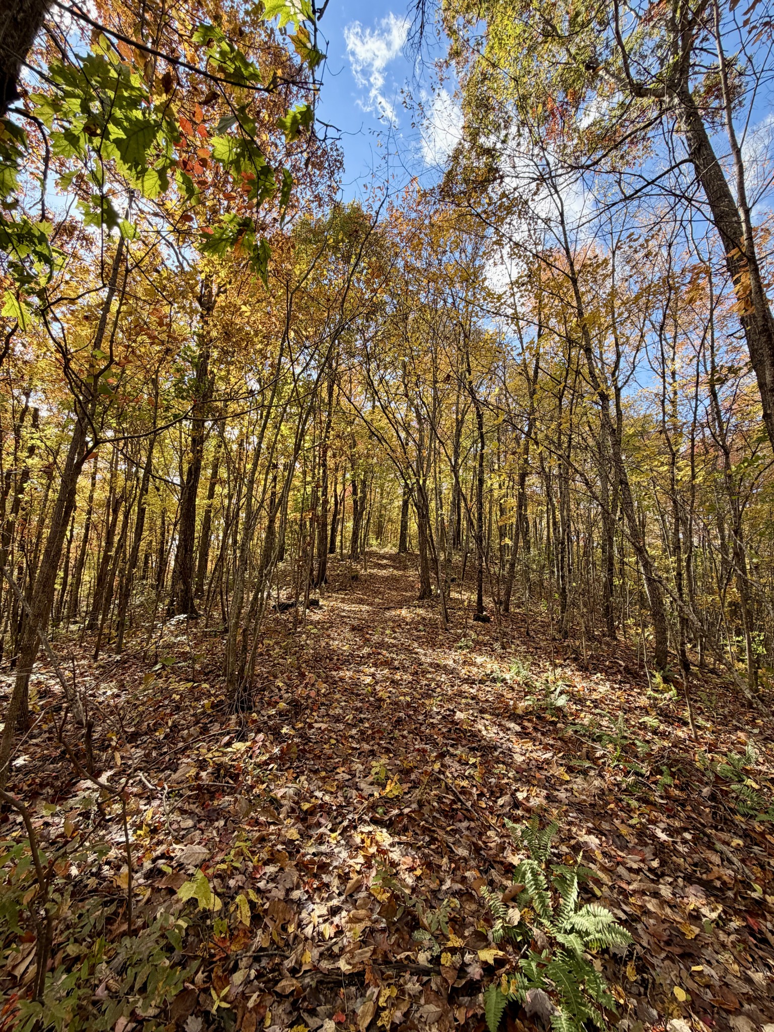 1 Robbins Road, E Robbins TN 37852