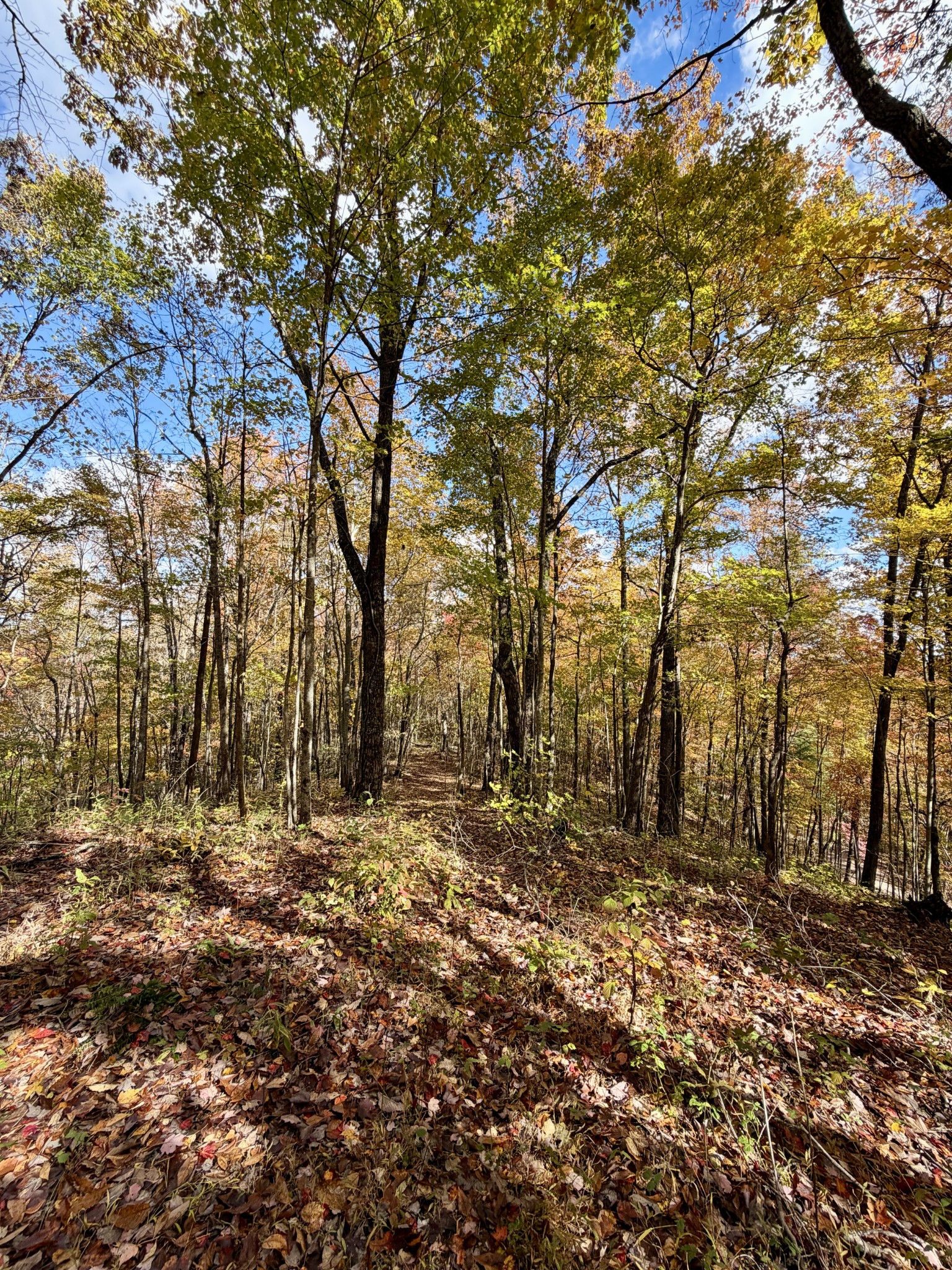 1 Robbins Road, E Robbins TN 37852