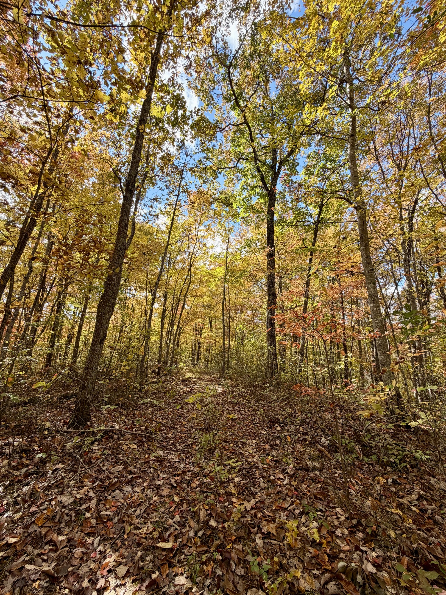 1 Robbins Road, E Robbins TN 37852