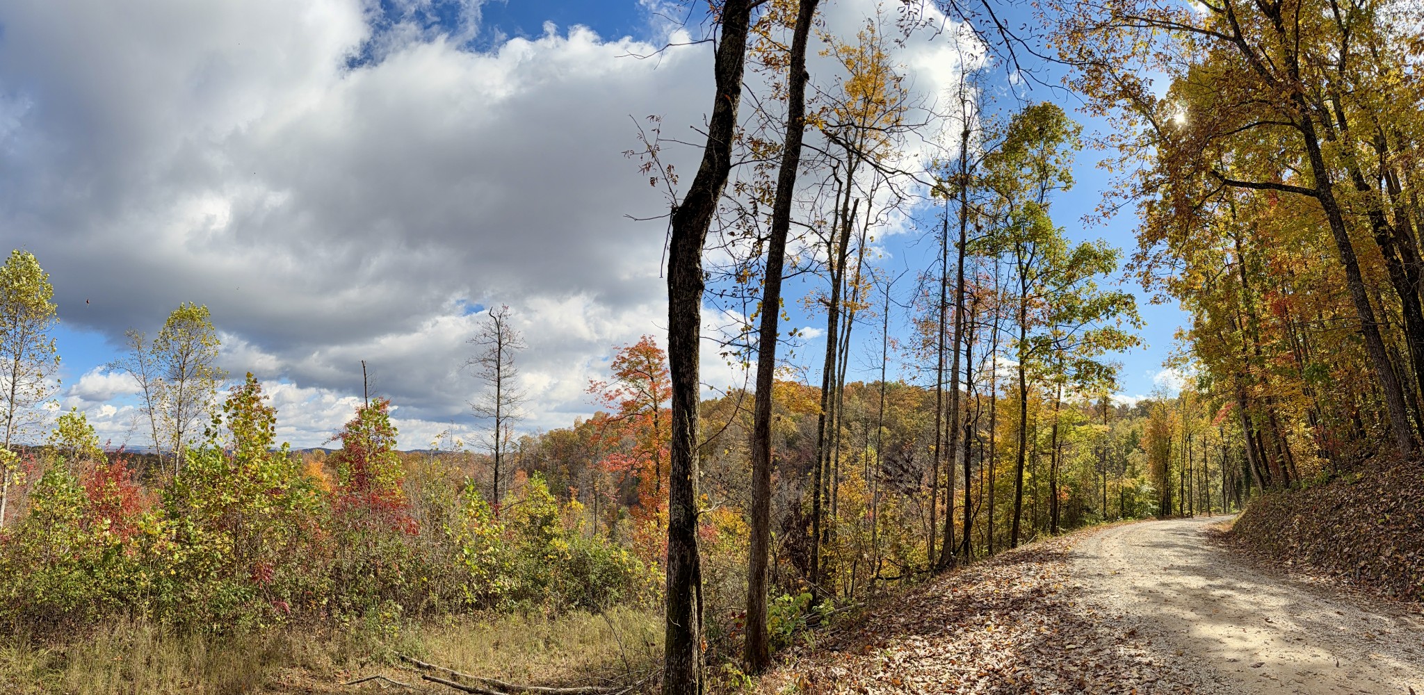 1 Robbins Road, E Robbins TN 37852