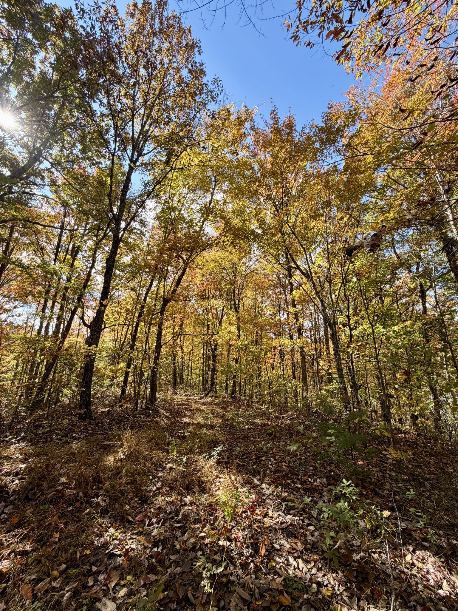 1 Robbins Road, E Robbins TN 37852