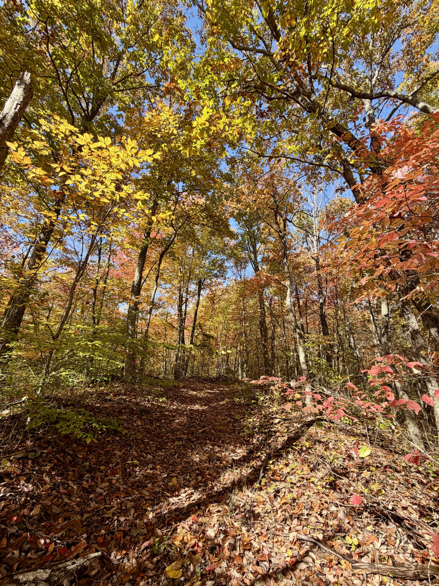 1 Robbins Road, E Robbins TN 37852