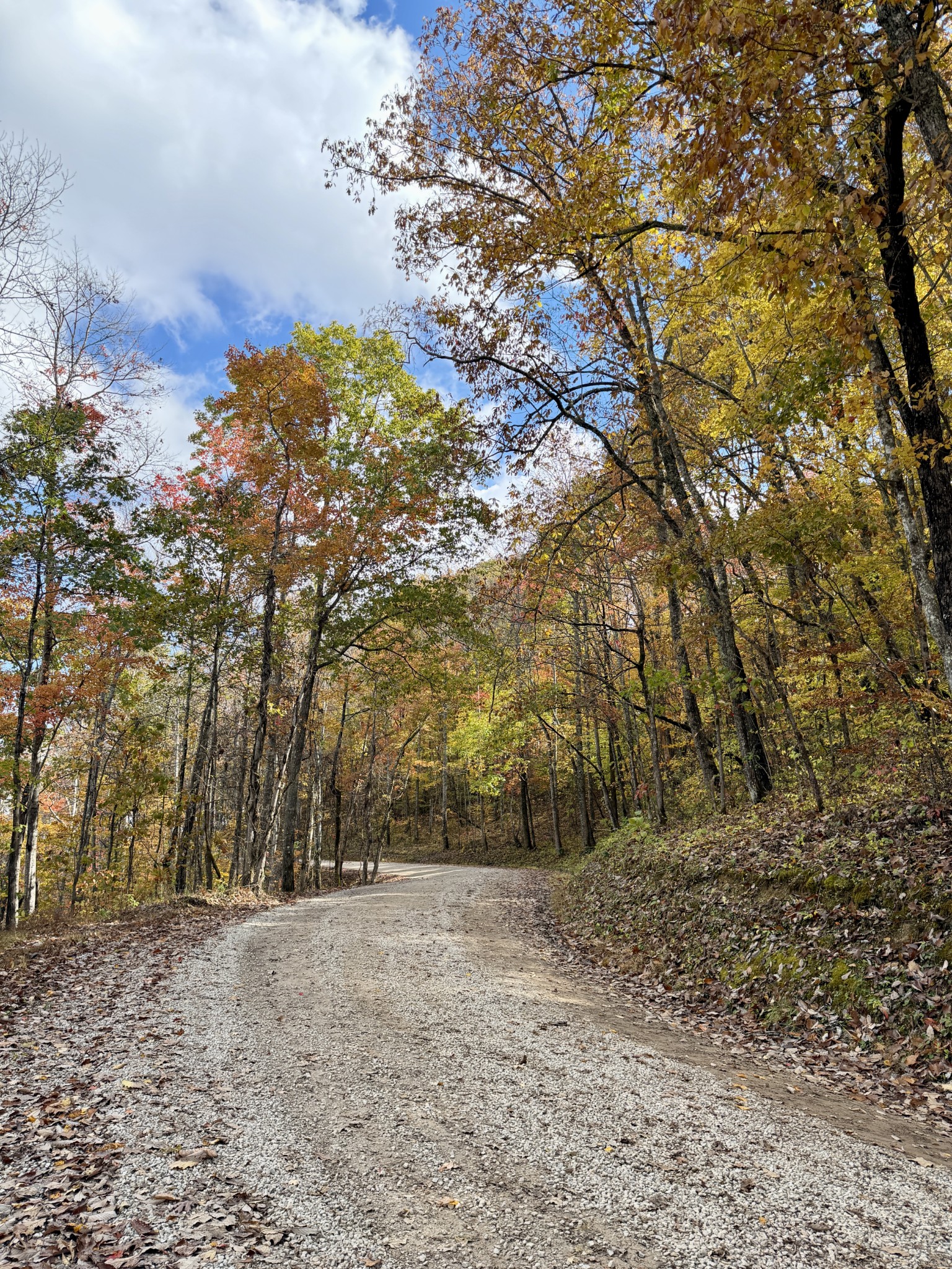 1 Robbins Road, E Robbins TN 37852
