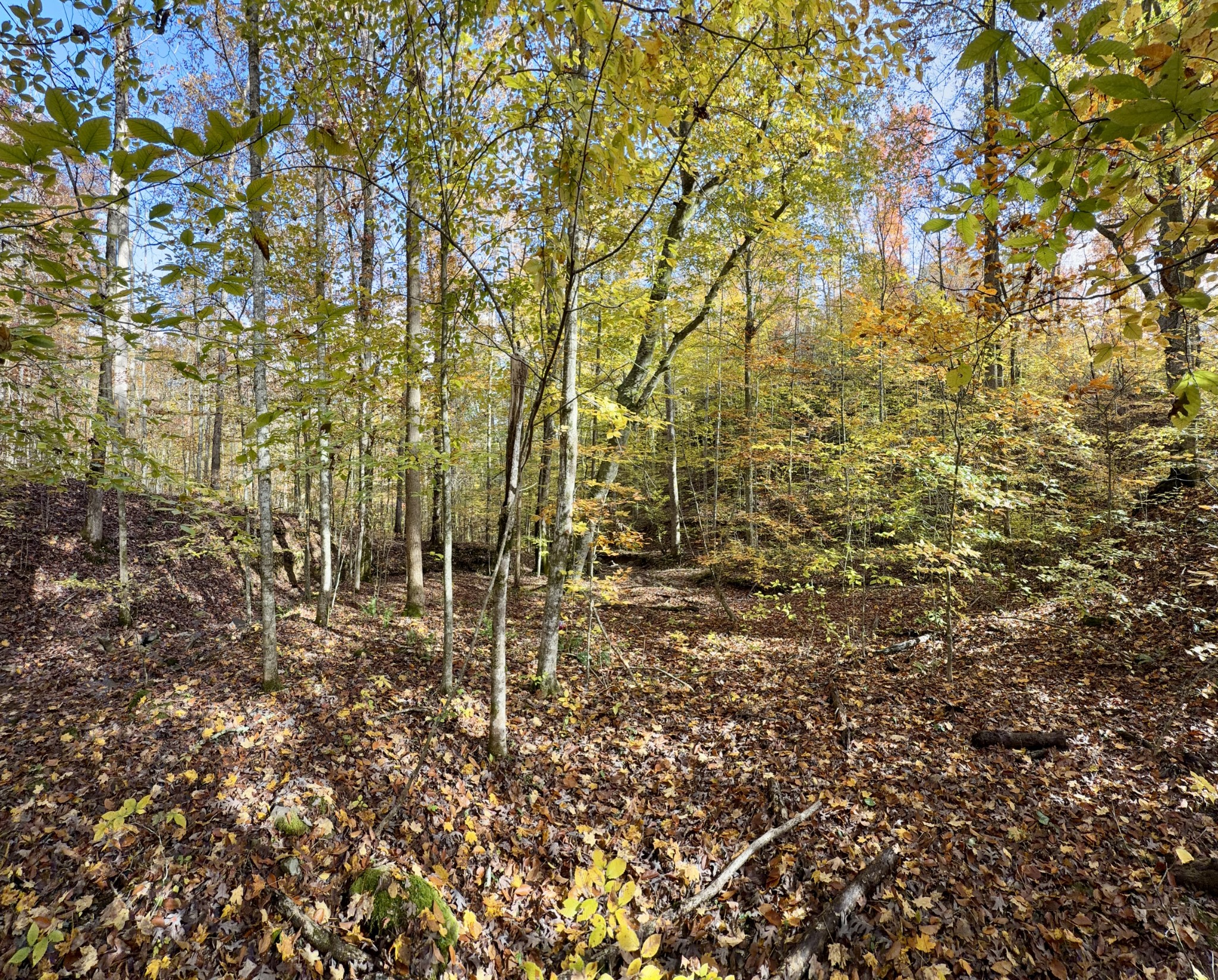 1 Robbins Road, E Robbins TN 37852