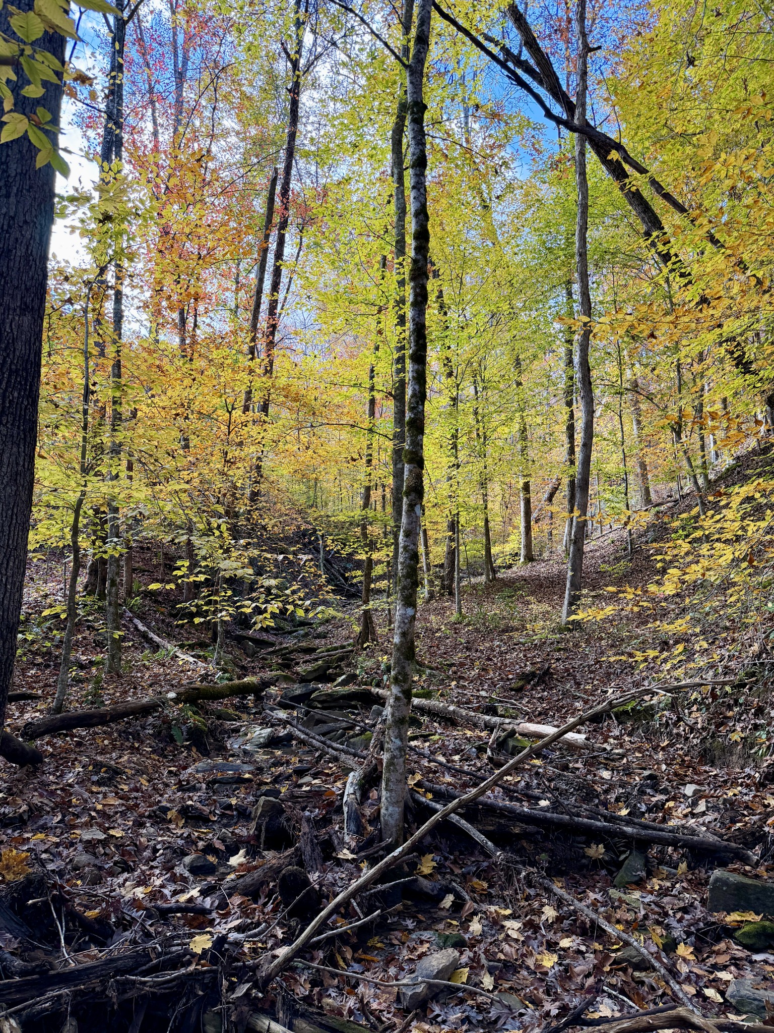 1 Robbins Road, E Robbins TN 37852