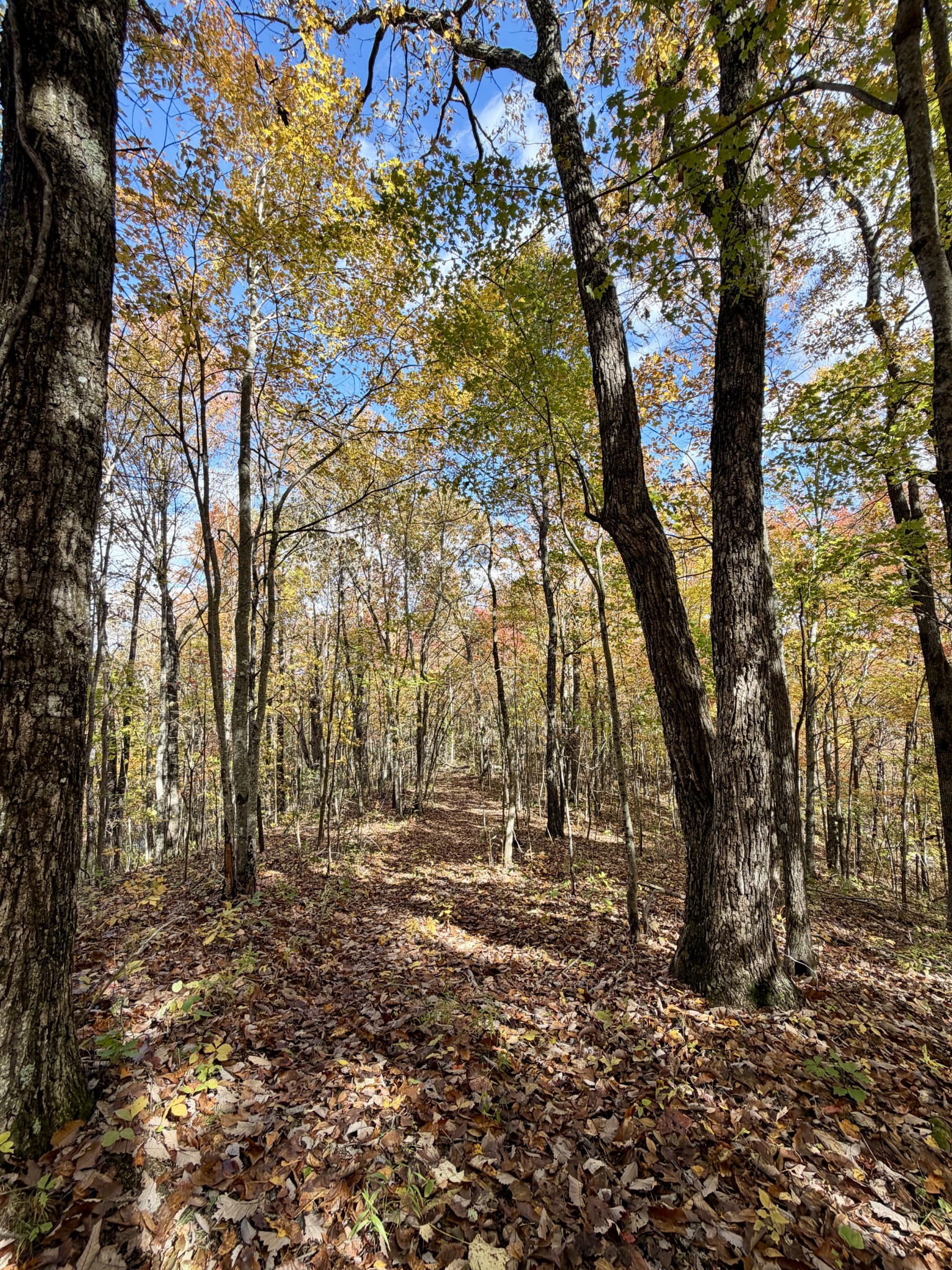 1 Robbins Road, E Robbins TN 37852