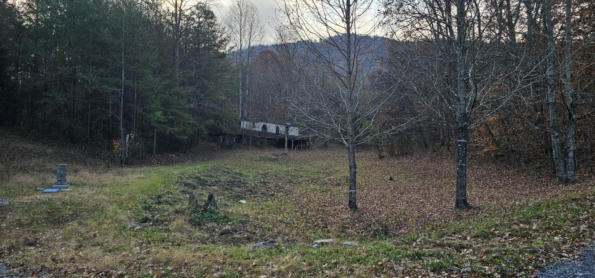 1328 Highway 310 Englewood TN 37329