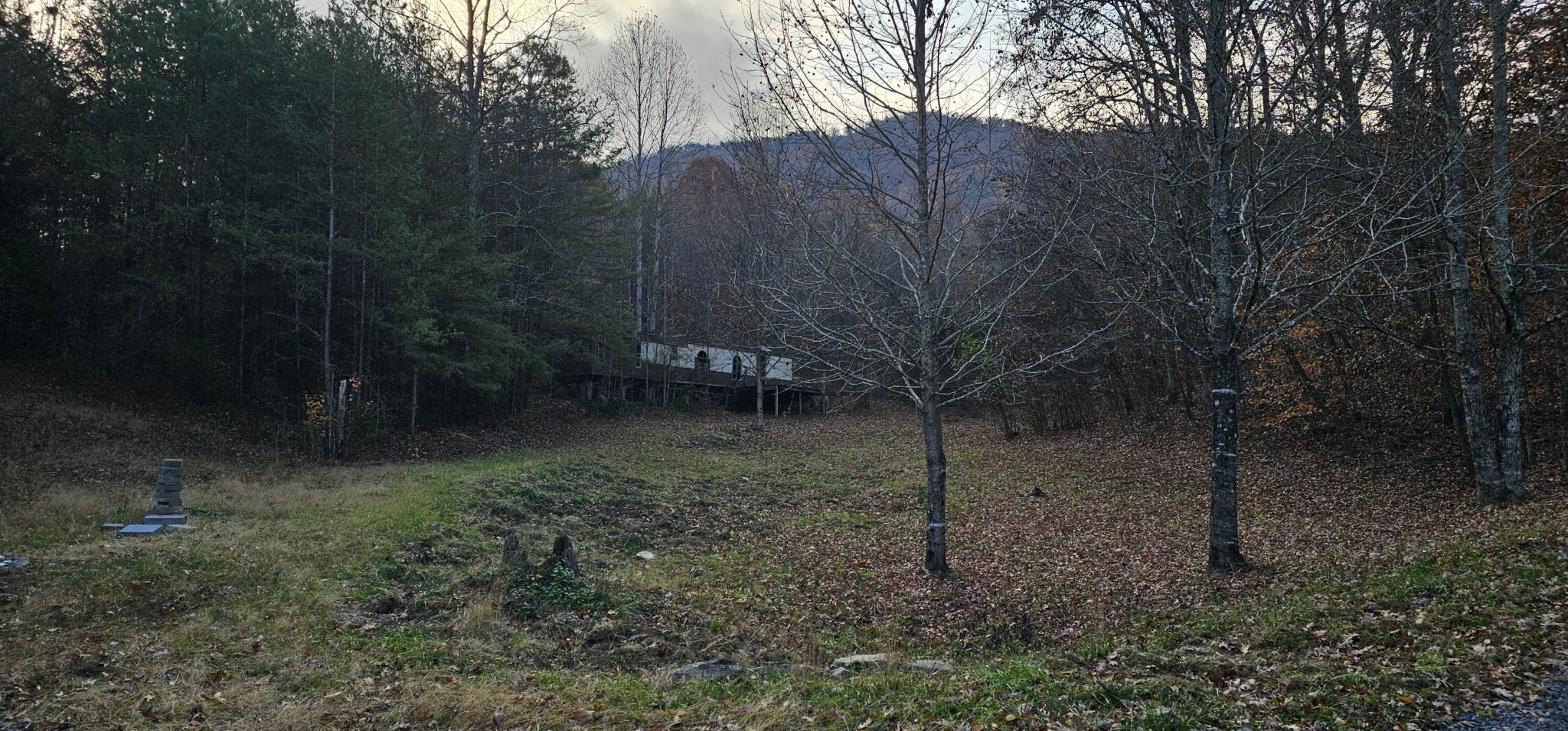 1328 Highway 310 Englewood TN 37329