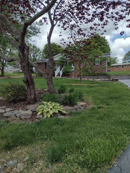 409 Donald Drive Red Boiling Springs TN 37150