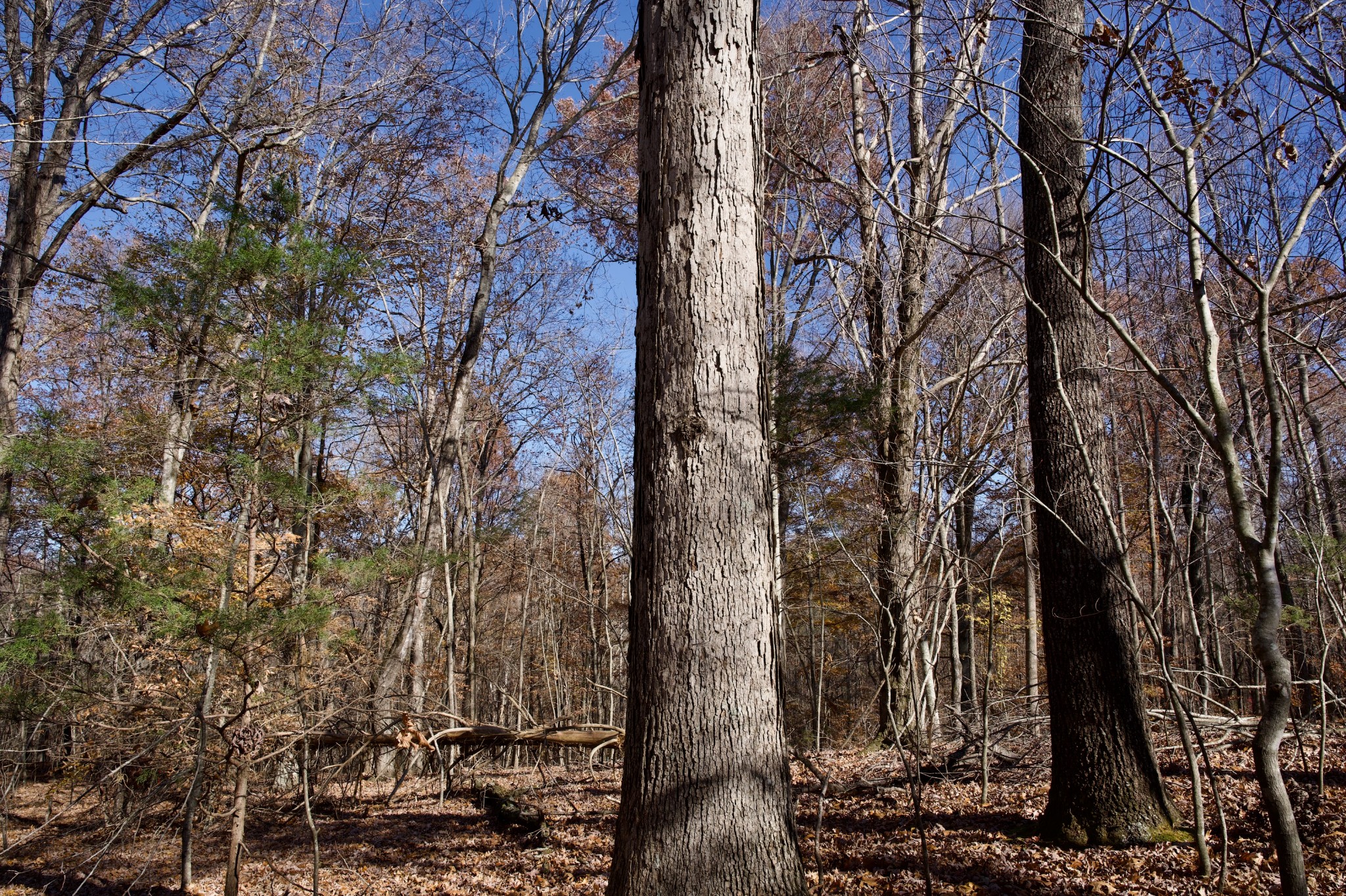 7 West Of Barlow Road Rock Island TN 38581