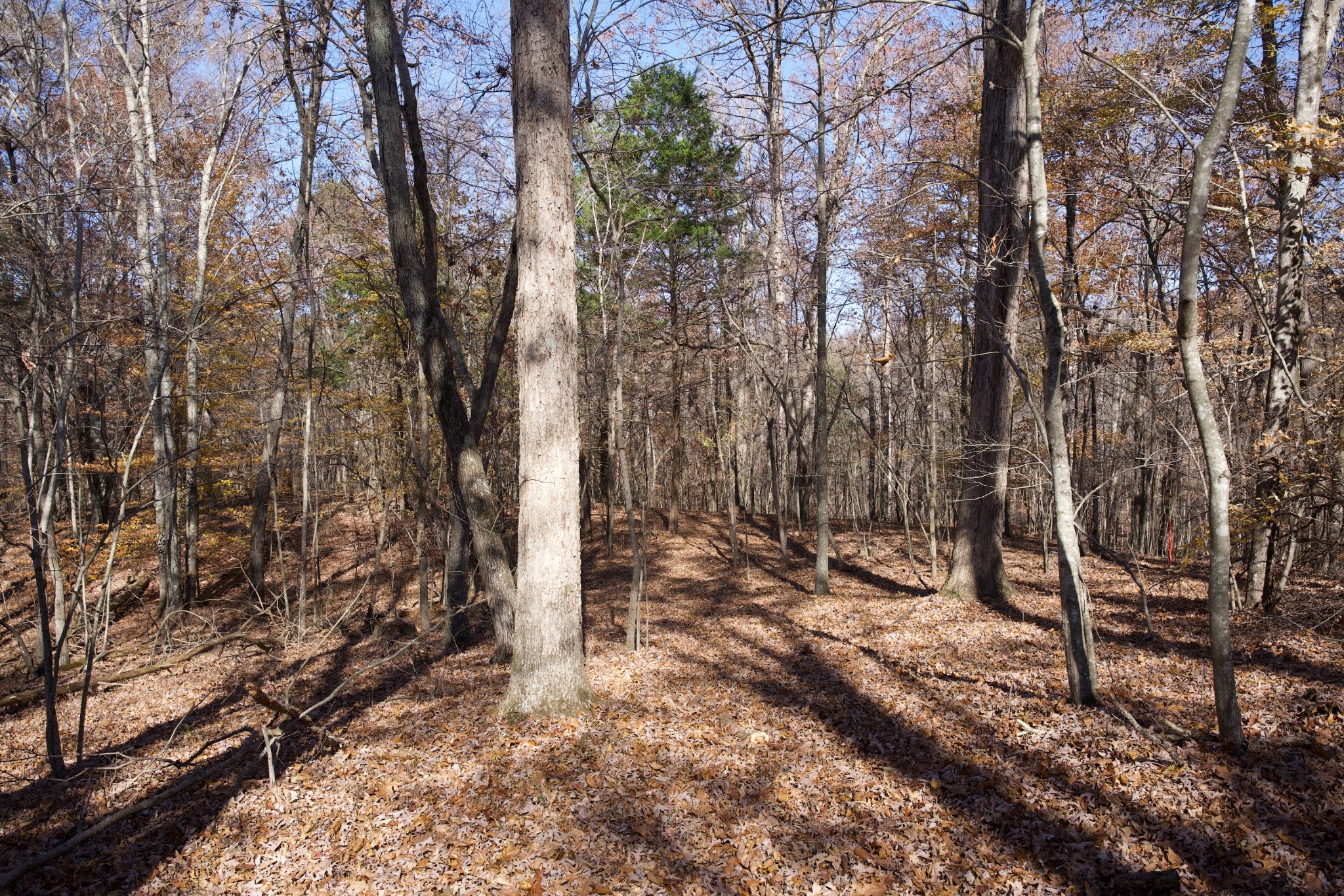 7 West Of Barlow Road Rock Island TN 38581
