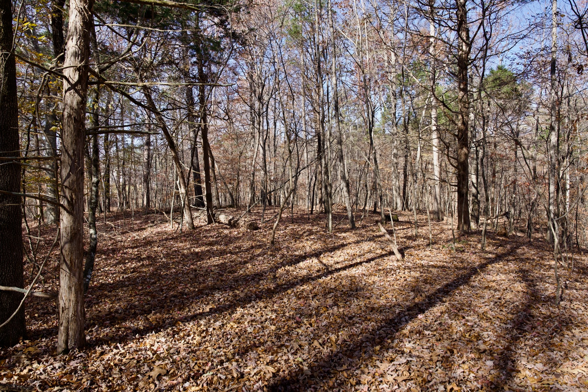 7 West Of Barlow Road Rock Island TN 38581