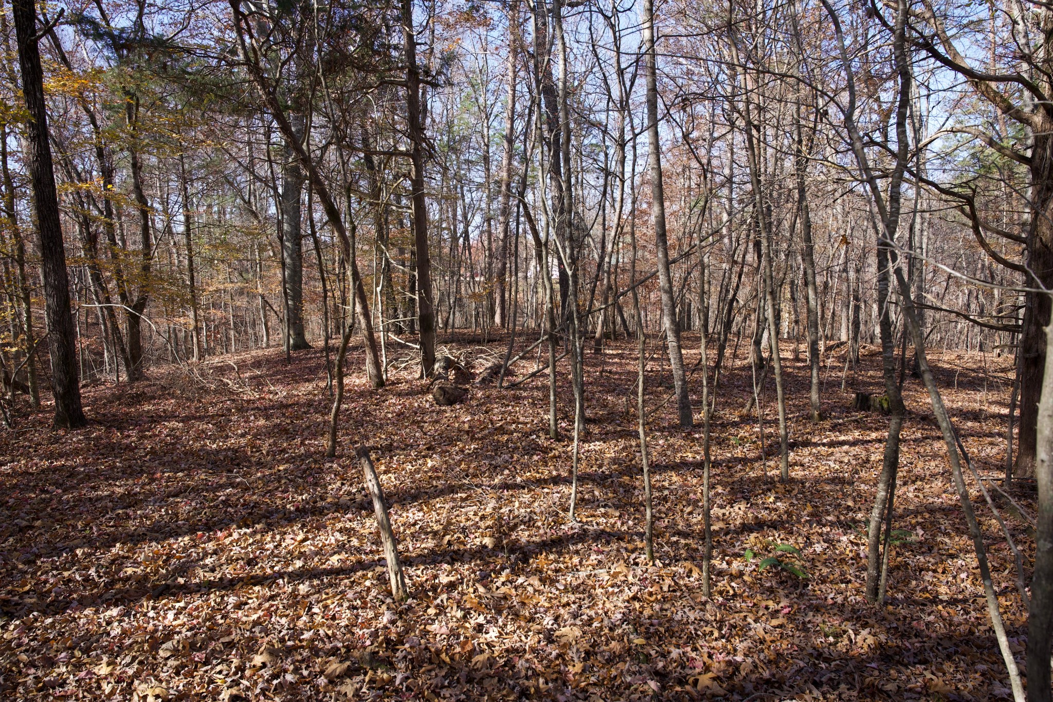 7 West Of Barlow Road Rock Island TN 38581