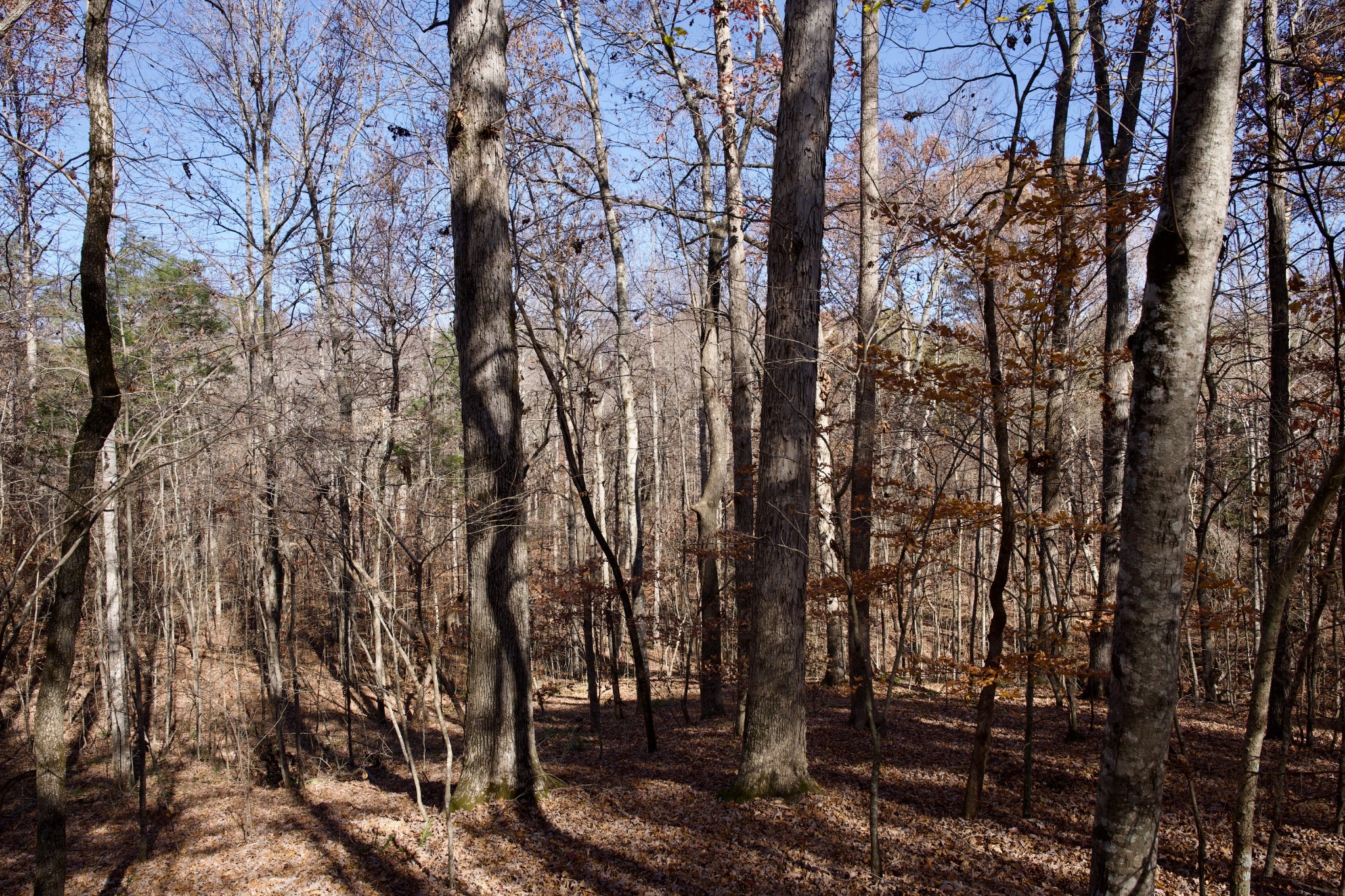 7 West Of Barlow Road Rock Island TN 38581