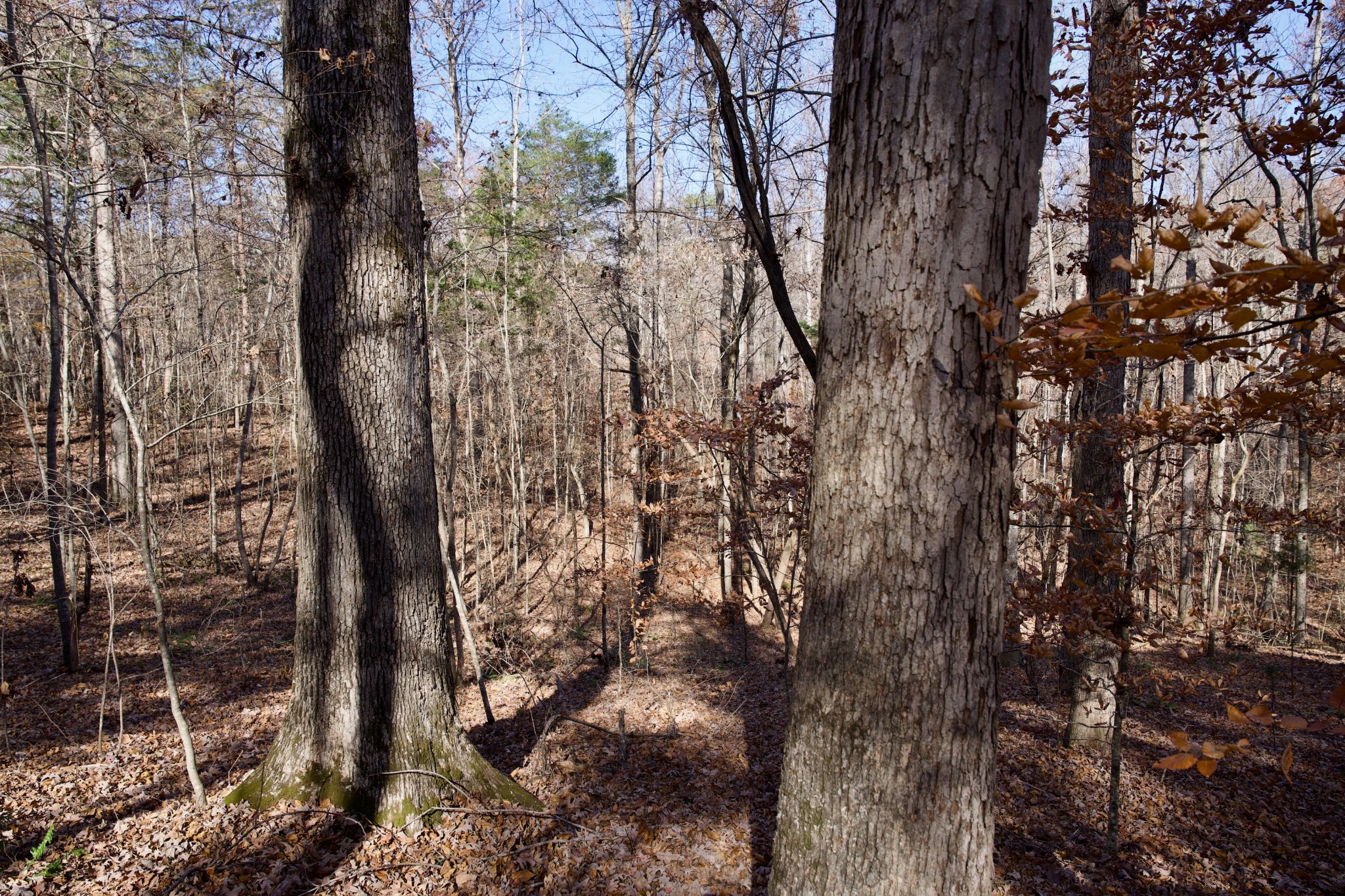 7 West Of Barlow Road Rock Island TN 38581