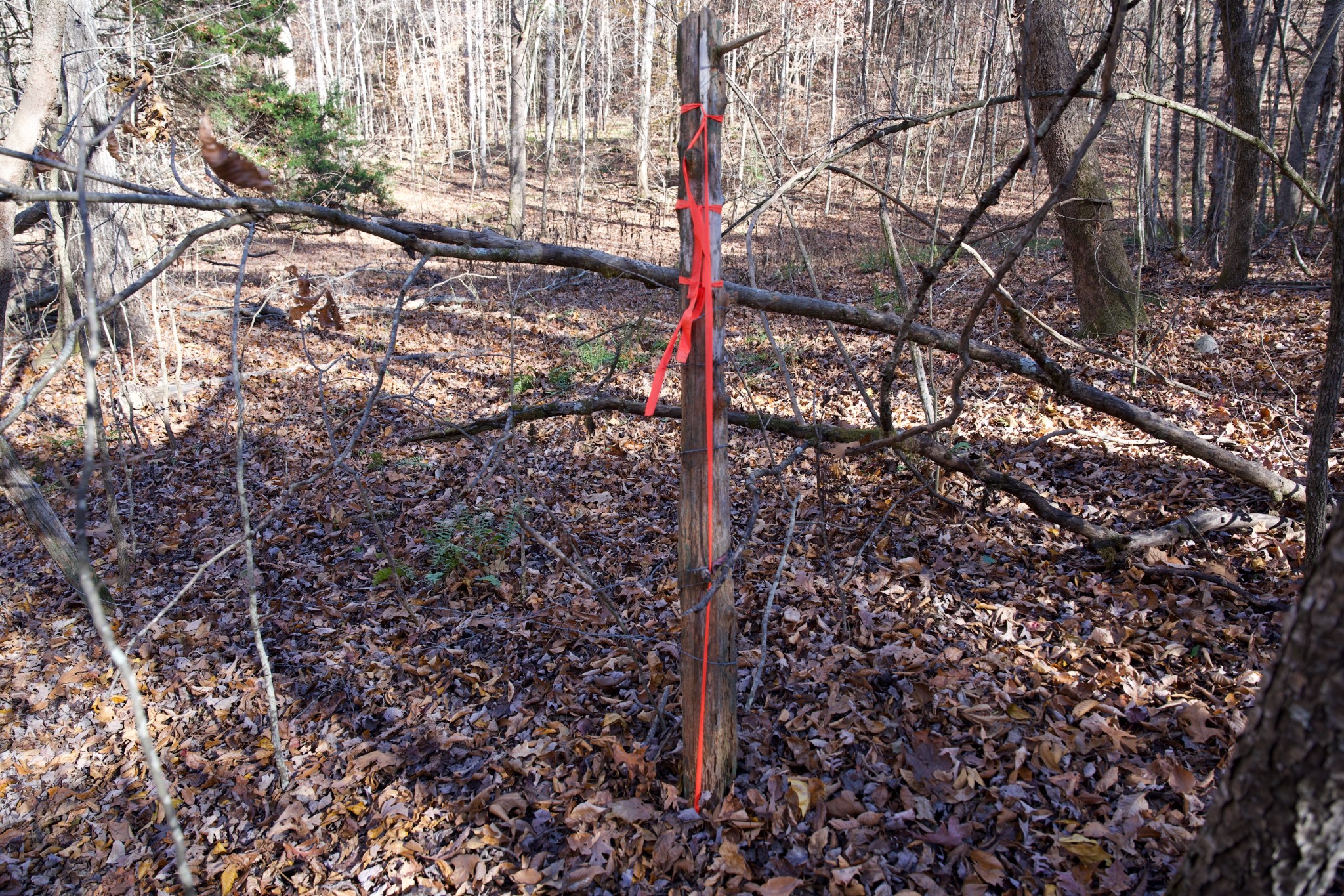 7 West Of Barlow Road Rock Island TN 38581