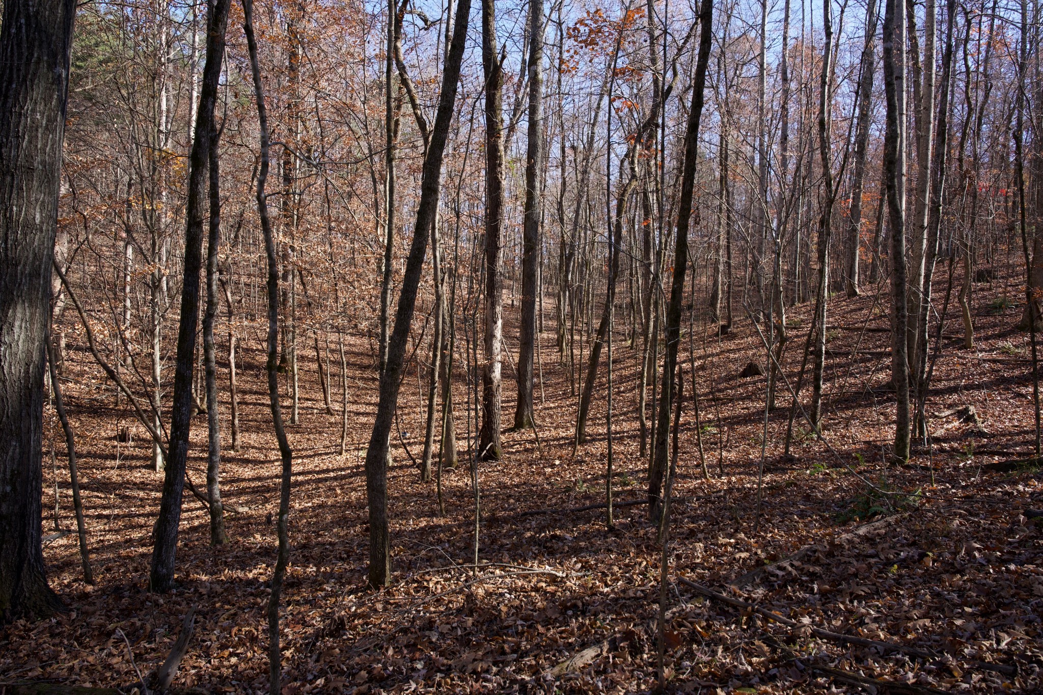 7 West Of Barlow Road Rock Island TN 38581