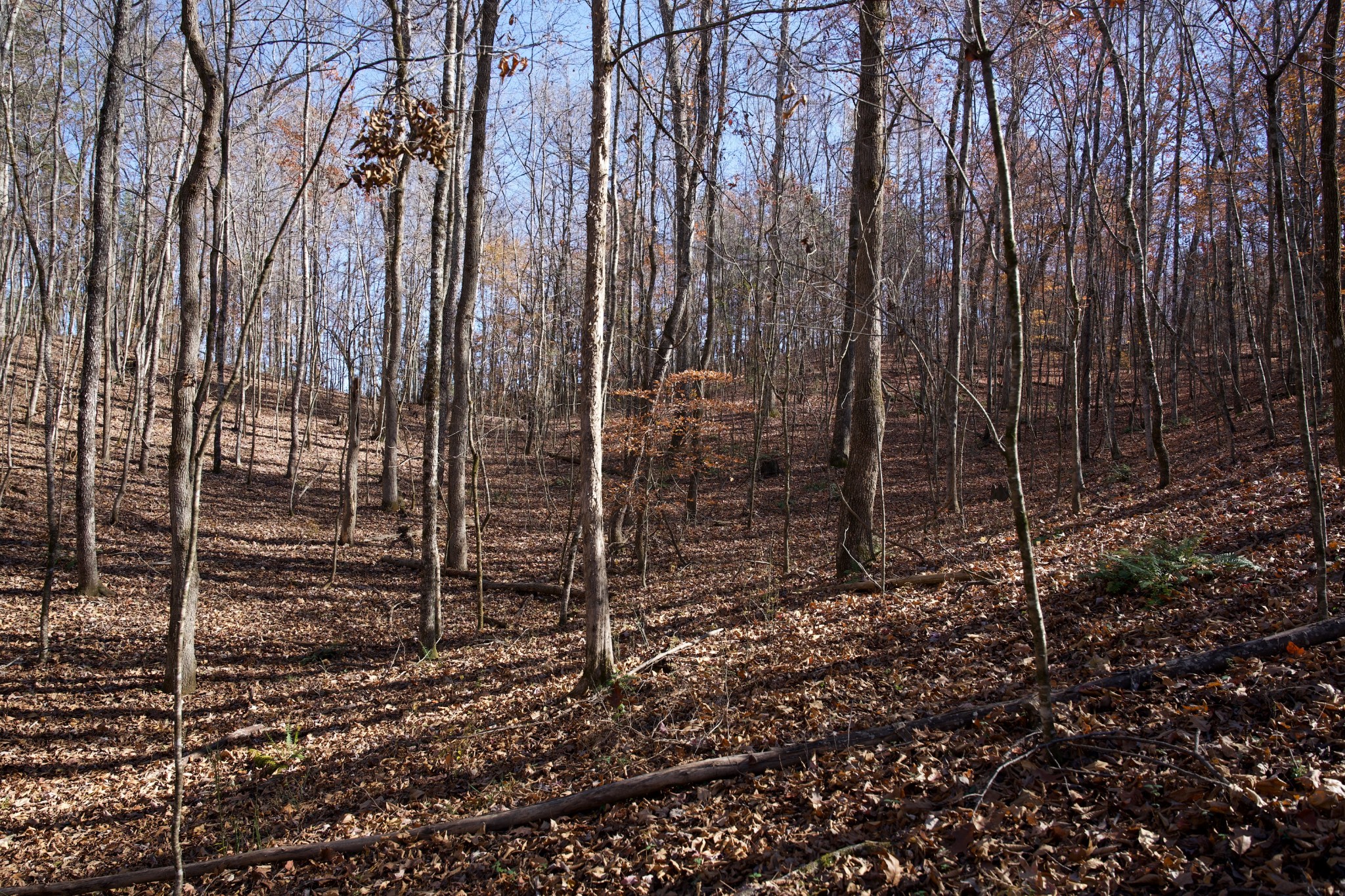 7 West Of Barlow Road Rock Island TN 38581