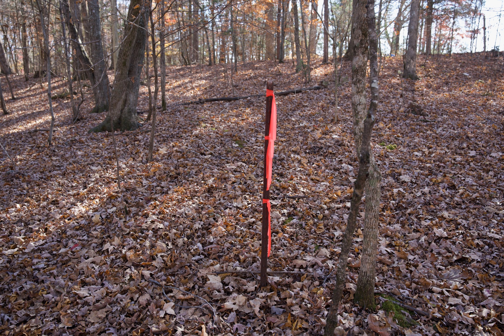 7 West Of Barlow Road Rock Island TN 38581
