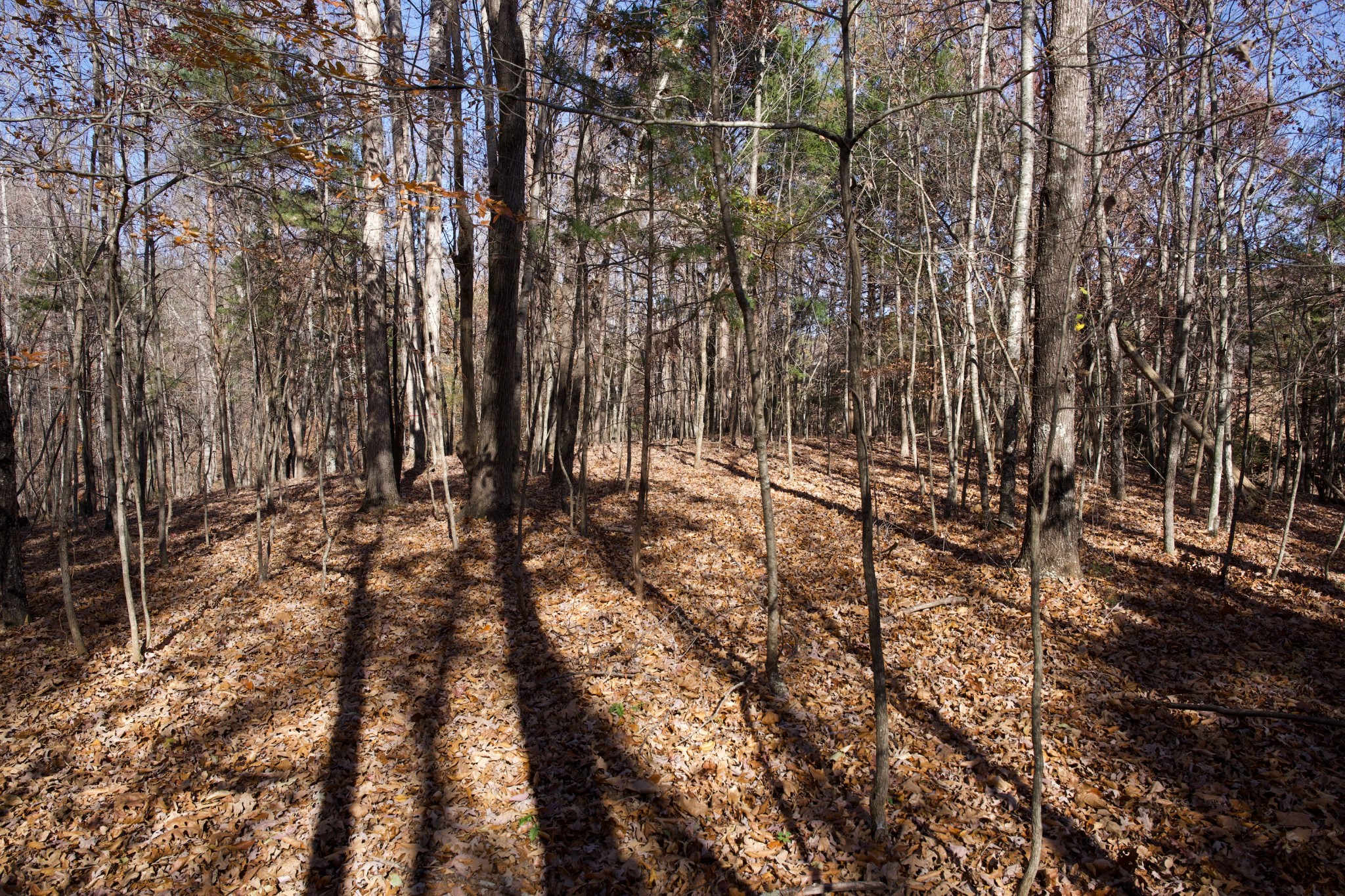 7 West Of Barlow Road Rock Island TN 38581