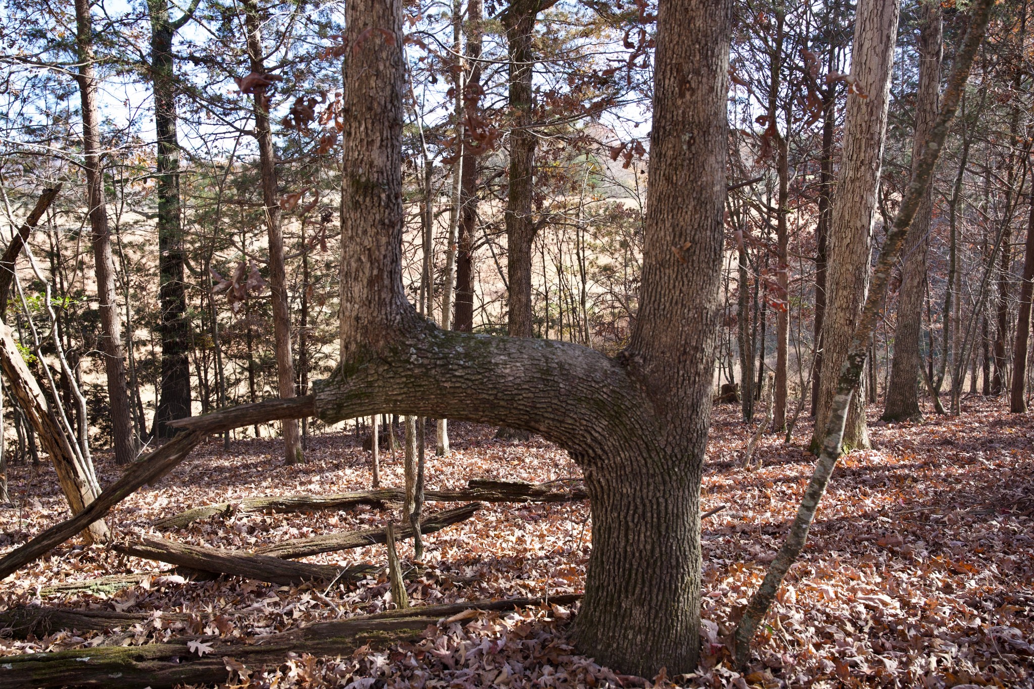 7 West Of Barlow Road Rock Island TN 38581