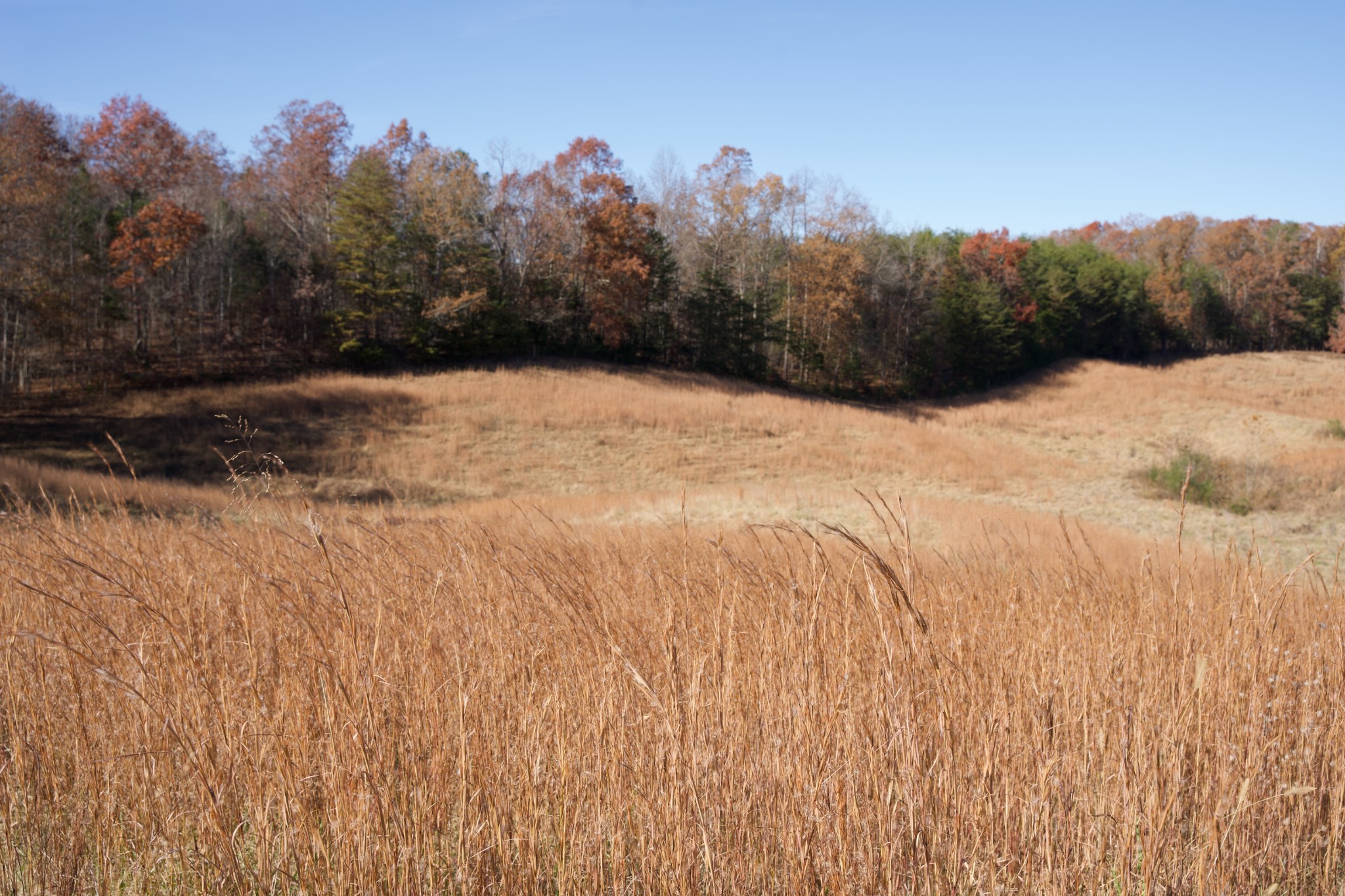 7 West Of Barlow Road Rock Island TN 38581
