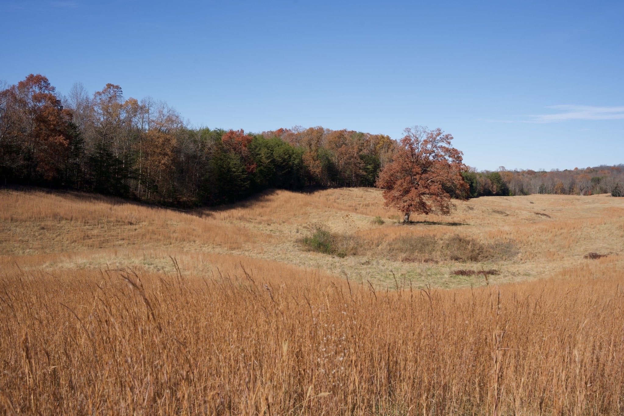 7 West Of Barlow Road Rock Island TN 38581