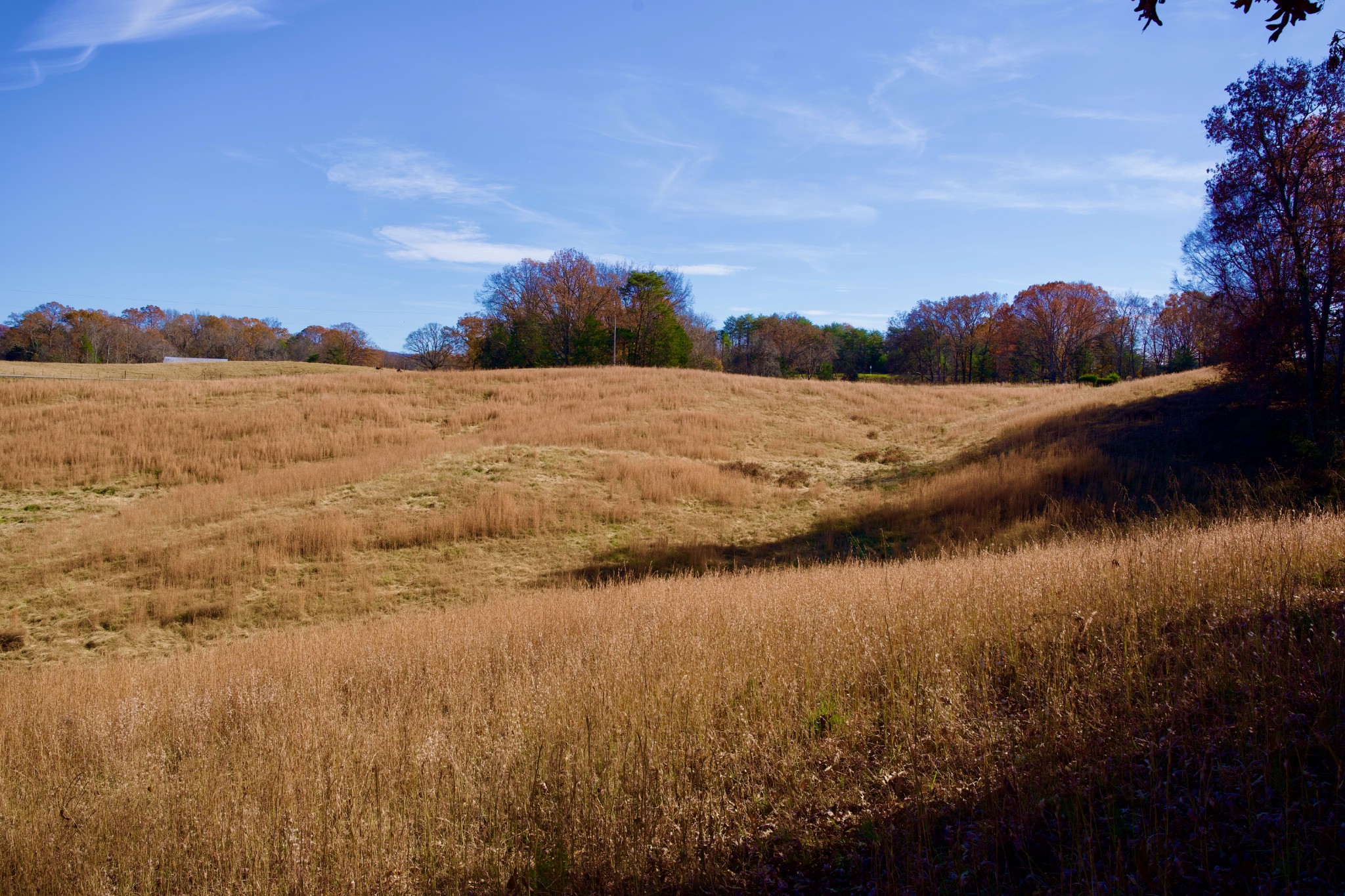 7 West Of Barlow Road Rock Island TN 38581