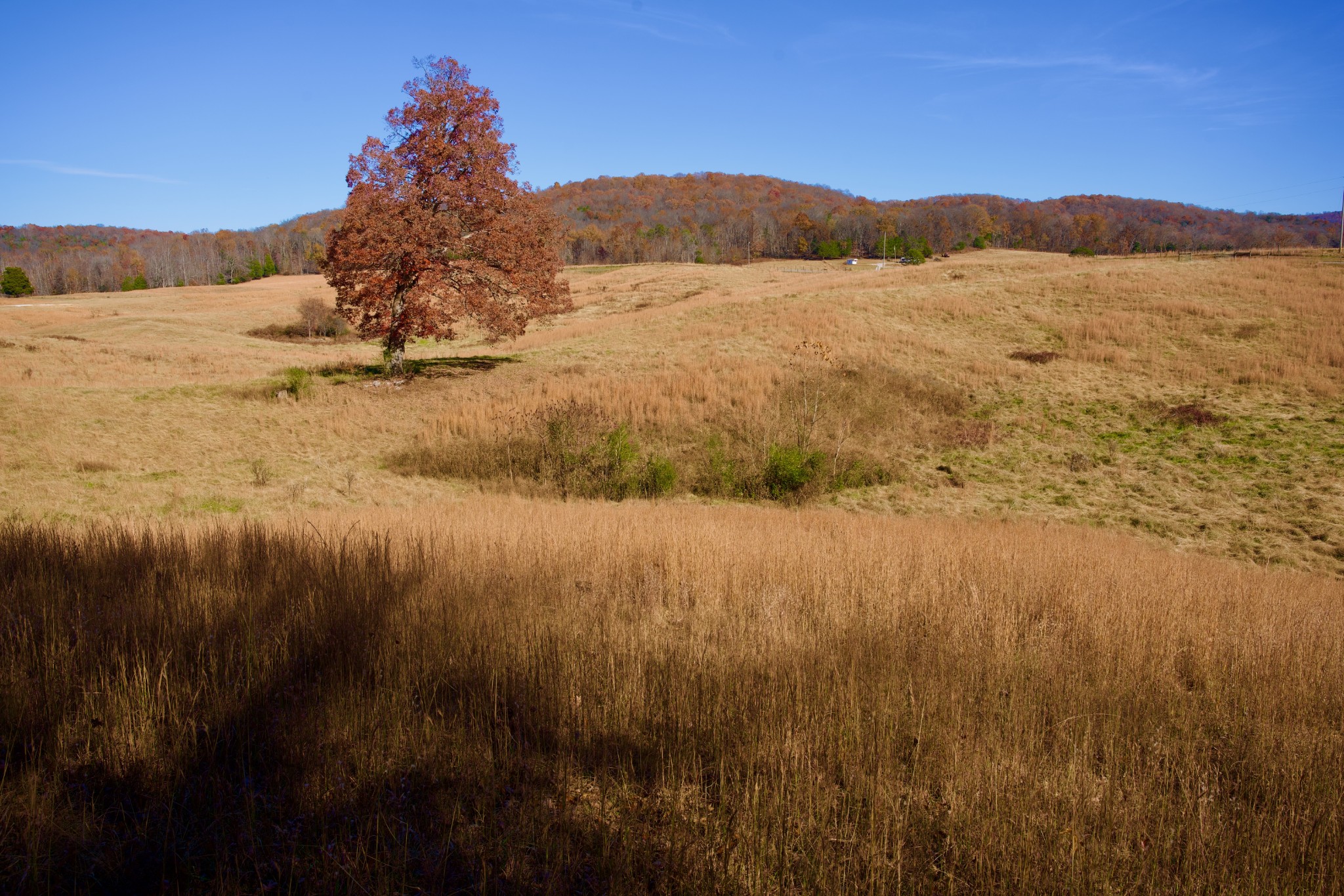 7 West Of Barlow Road Rock Island TN 38581