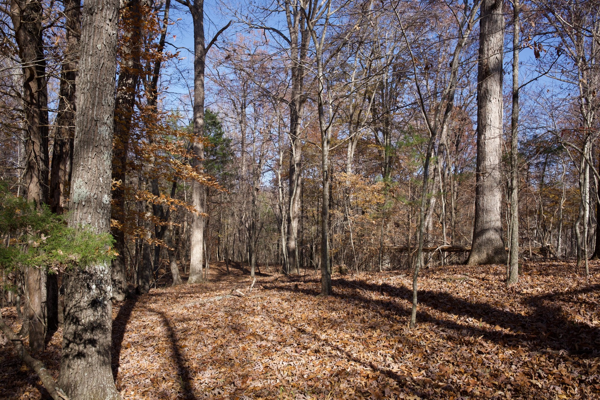 7 West Of Barlow Road Rock Island TN 38581