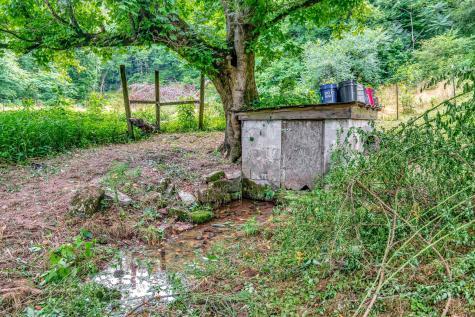 4105 Fry Branch Road Lynnville TN 38472