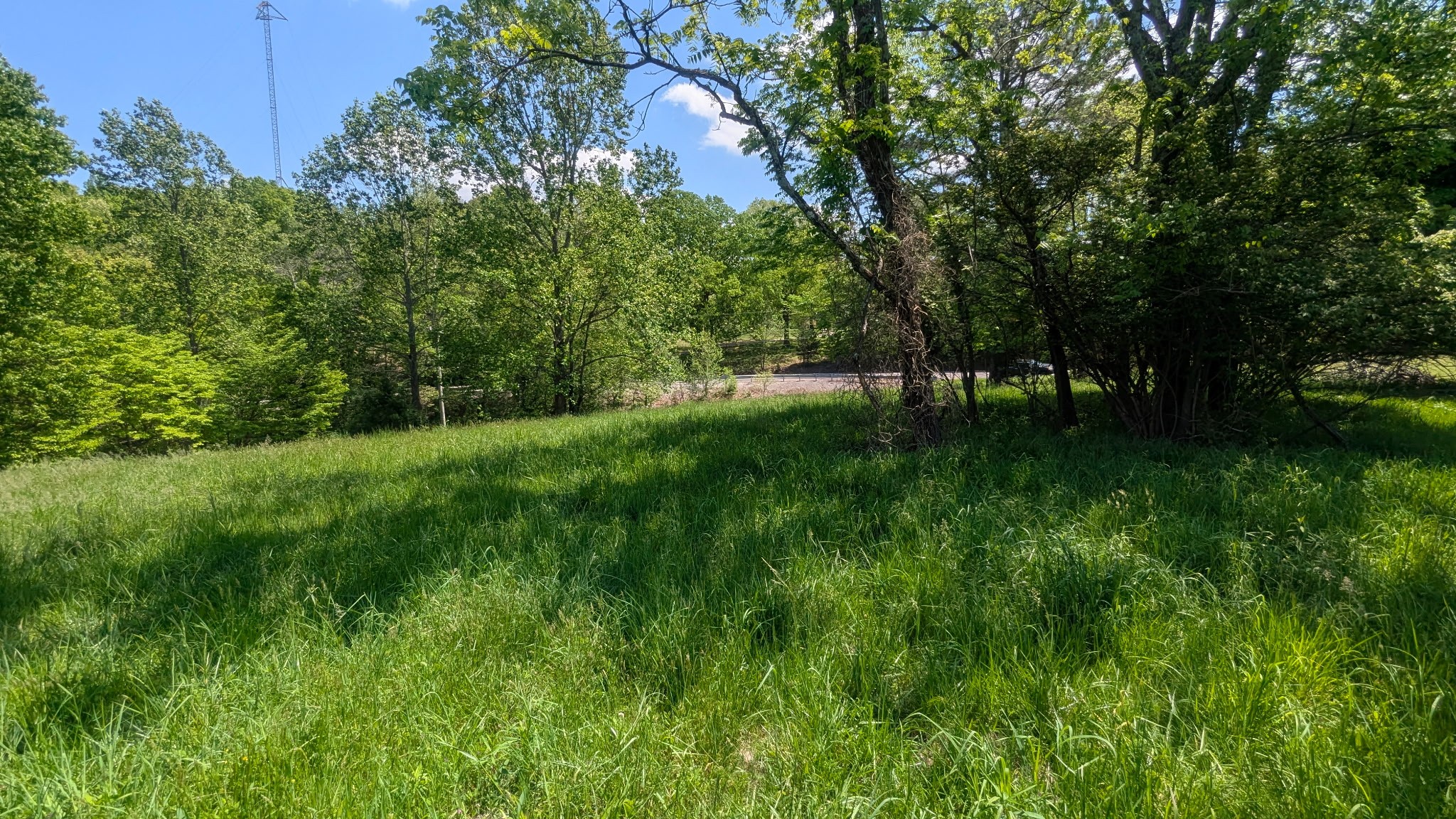 337 Old Dobbins Pike #3 Portland TN 37148