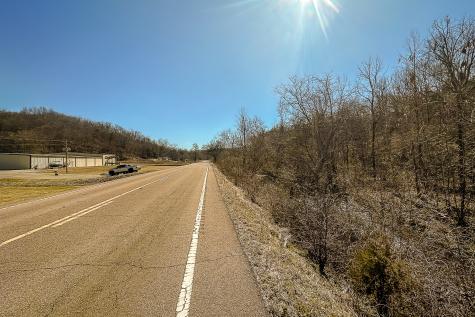 0 Highway 100 Linden TN 37096