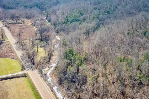 0 Highway 100 Linden TN 37096