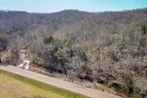 0 Highway 100 Linden TN 37096