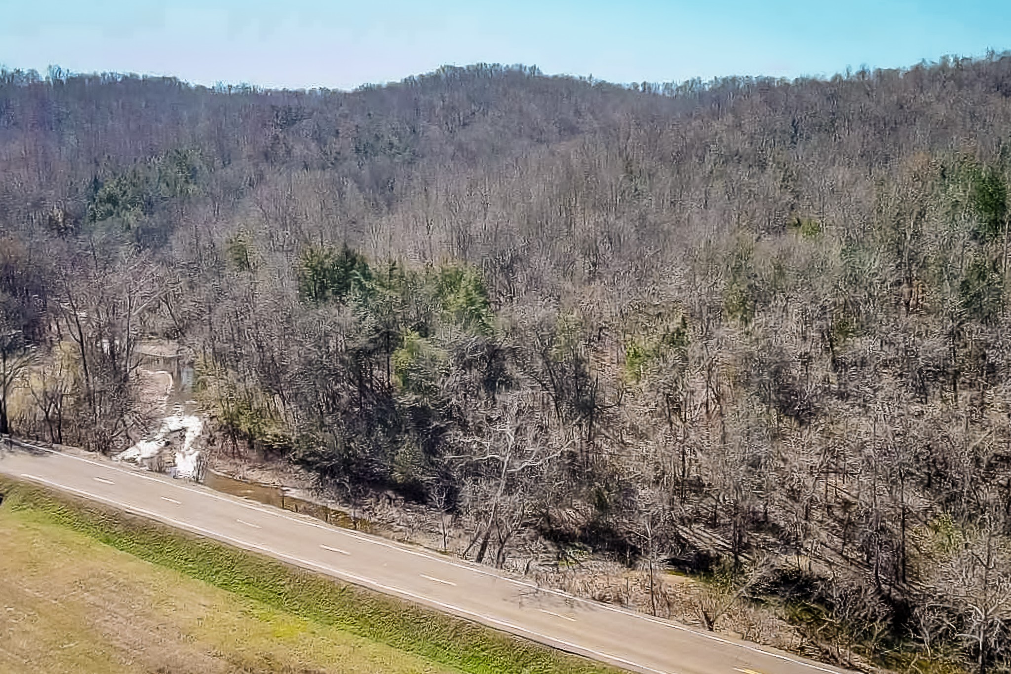 0 Highway 100 Linden TN 37096
