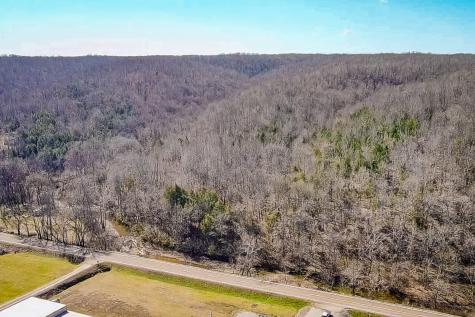 0 Highway 100 Linden TN 37096